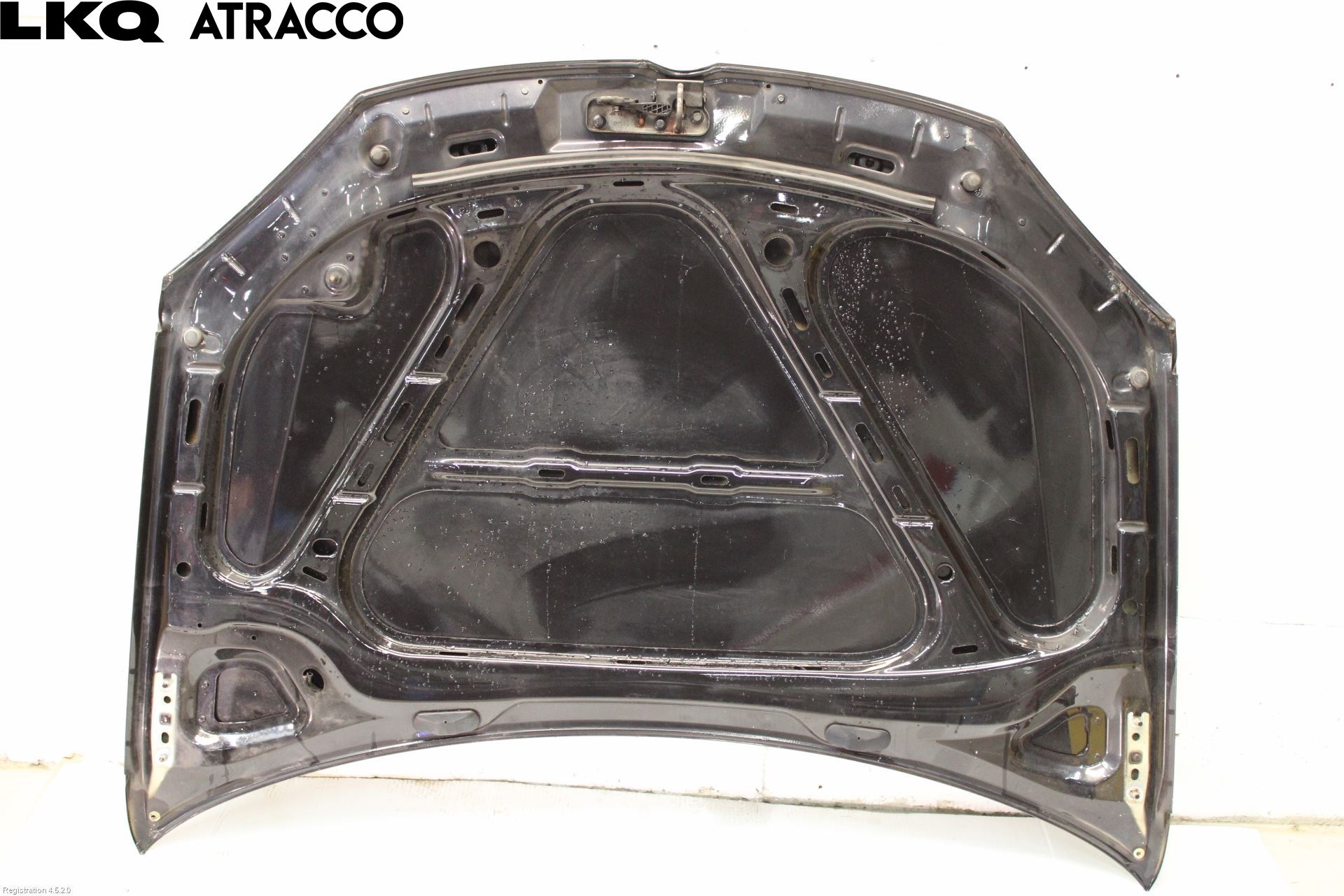 Volkswagen VW GOLF V 04-09 Panser