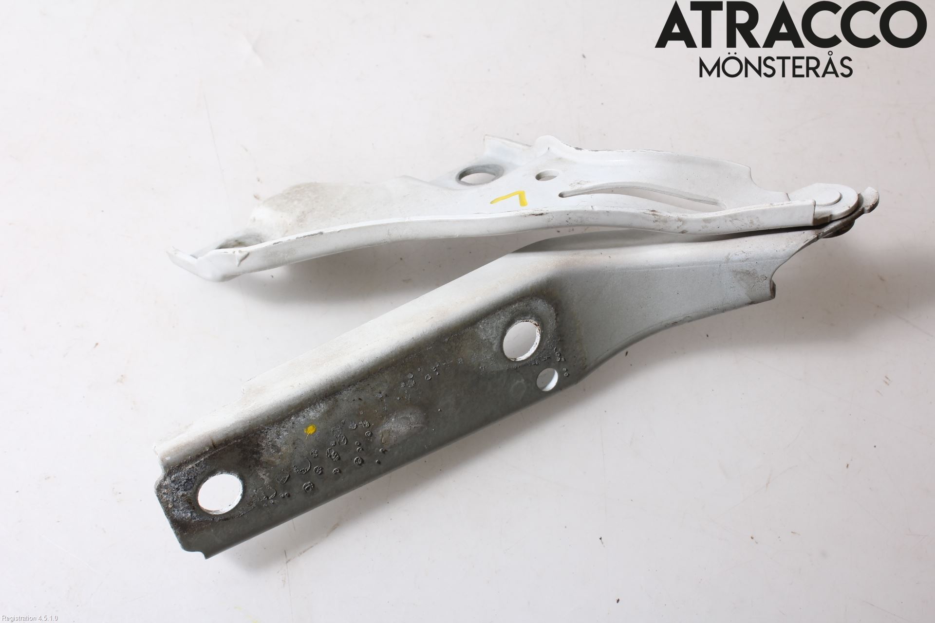 Volkswagen VW PASSAT 15-19 Panser Hengsel - Hengsler