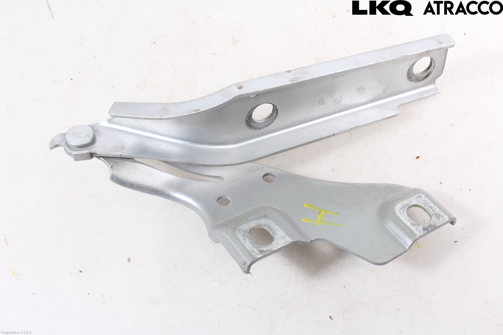 Volkswagen VW PASSAT 15-19 Panser Hengsel - Hengsler