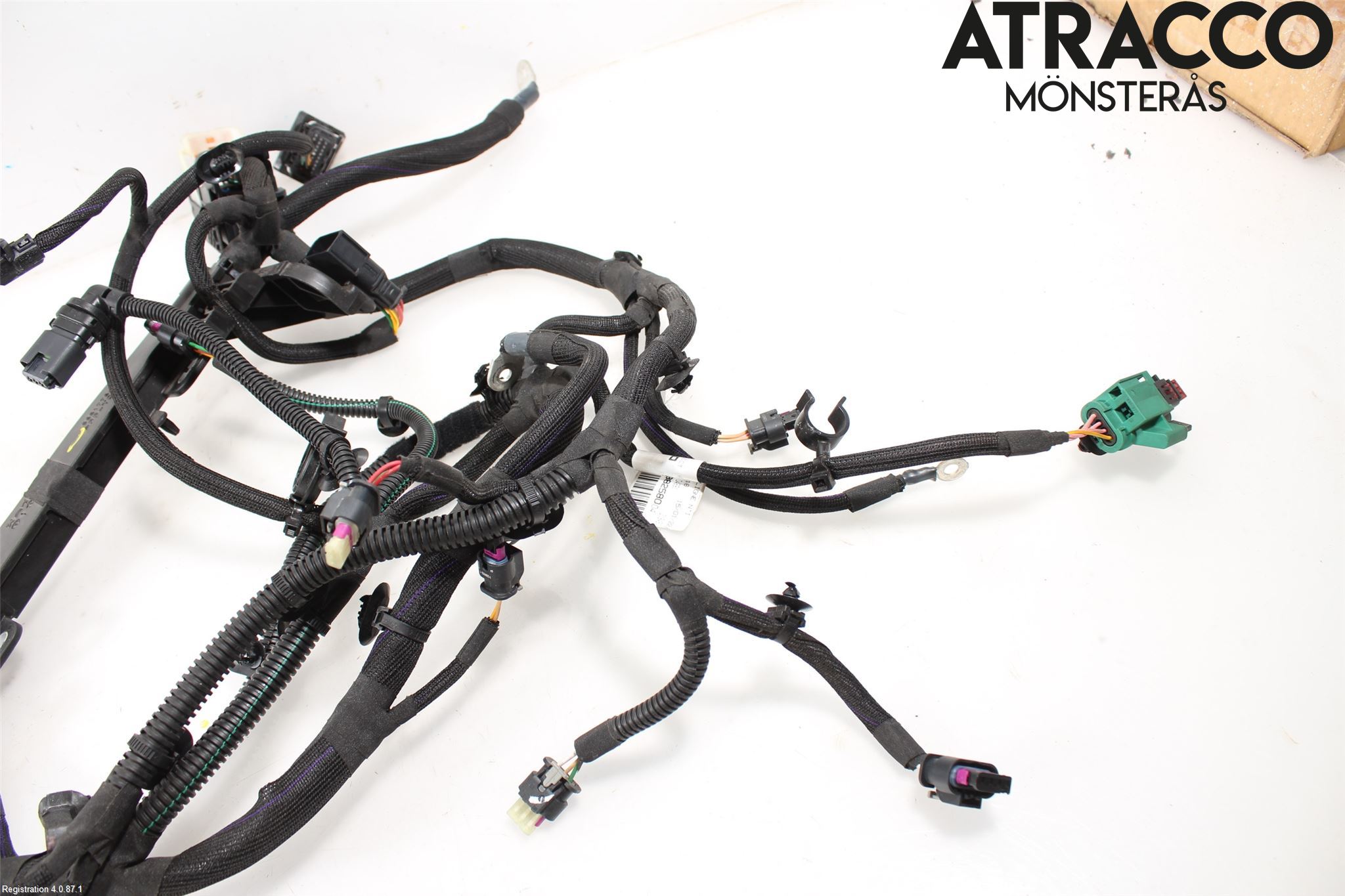 Citroen C4/E-C4 C4X/E-C4X III 21- Ledningsnett
