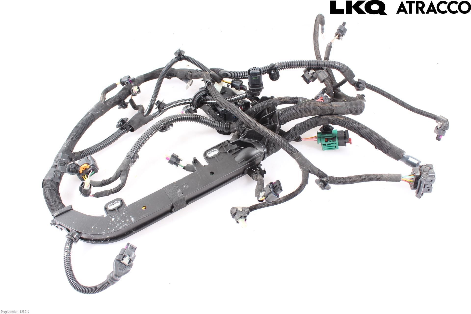 Citroen C4/E-C4 C4X/E-C4X III 21- Ledningsnett