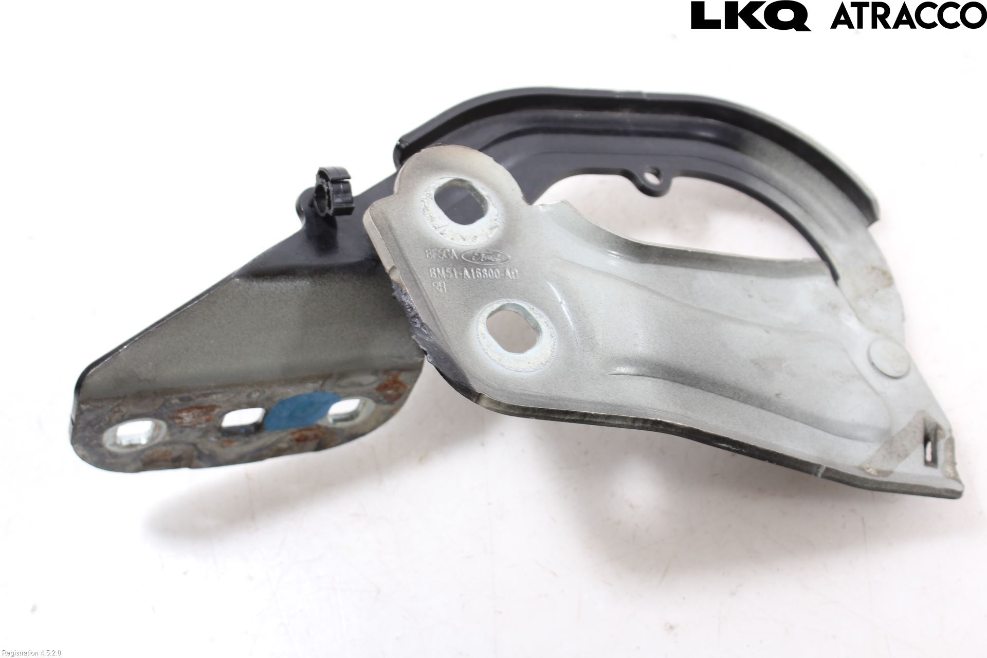 Ford FOCUS 11-14 Panser Hengsel - Hengsler