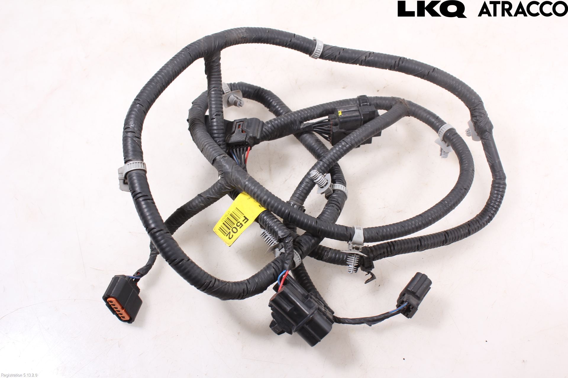 Kia CARENS III 13-19 Ledningsnett