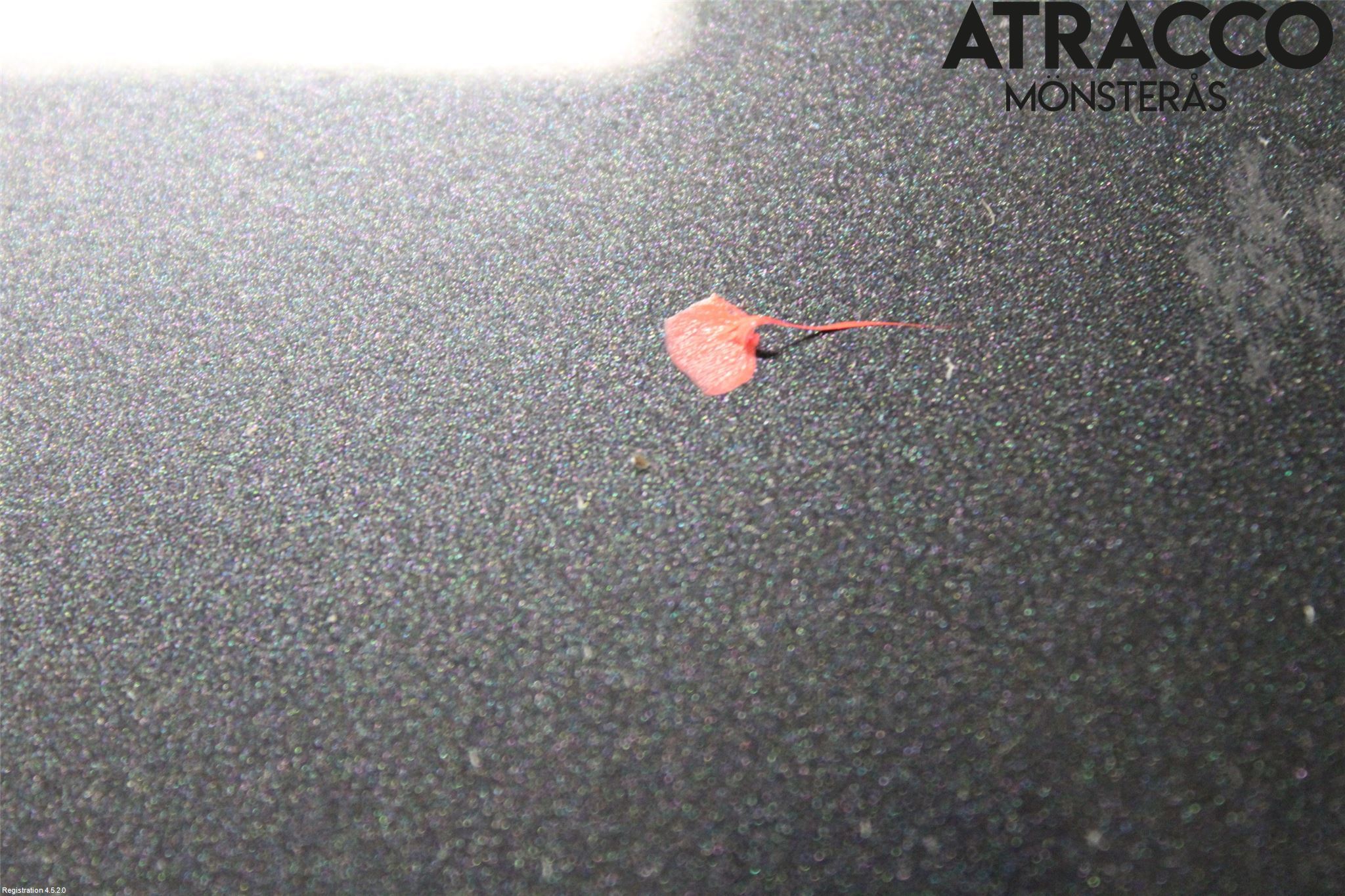 Toyota AYGO 06-14 Panser