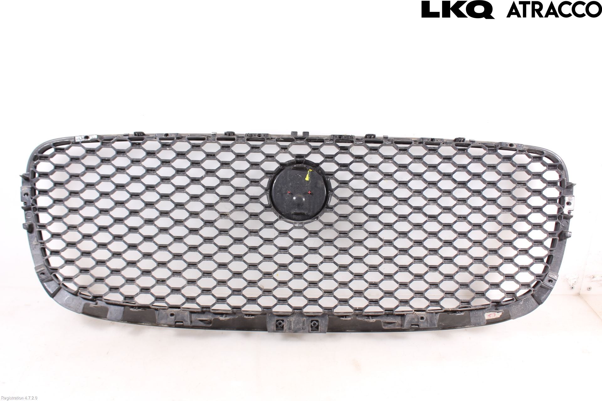 Jaguar F-PACE Grill Komplett