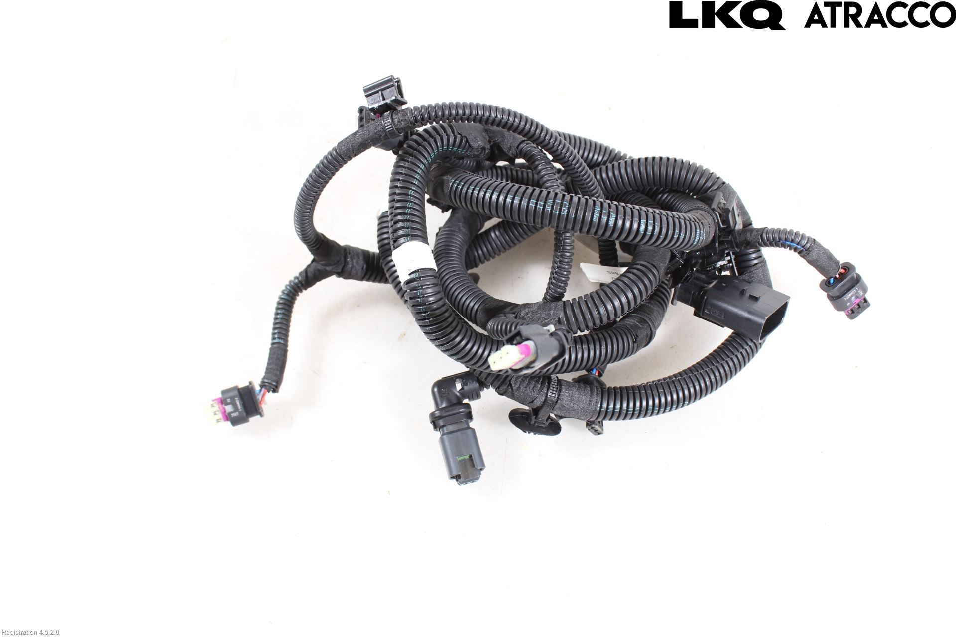 Citroen C4/E-C4 C4X/E-C4X III 21- Ledningsnett