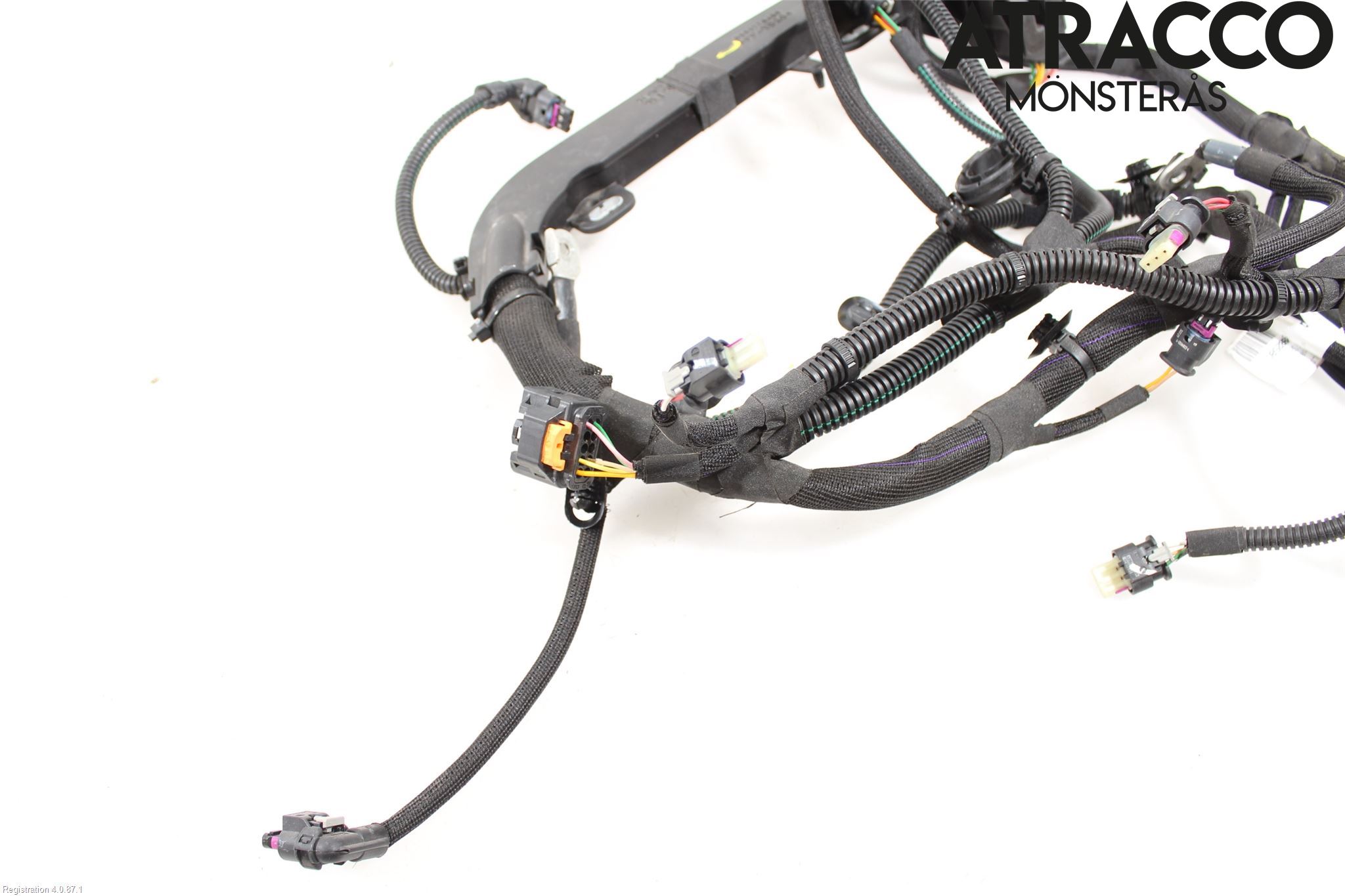 Citroen C4/E-C4 C4X/E-C4X III 21- Ledningsnett