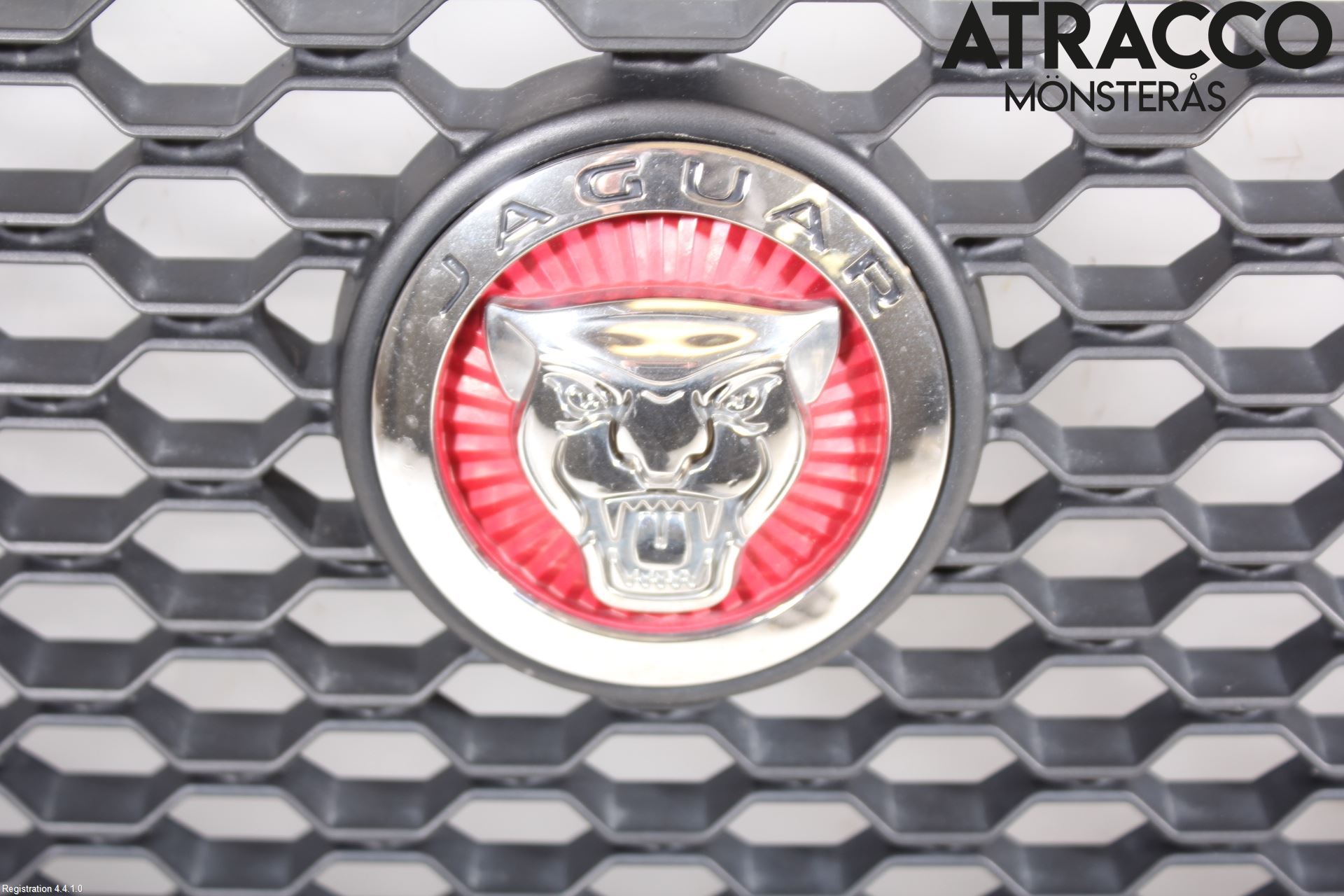 Jaguar F-PACE Grill Komplett