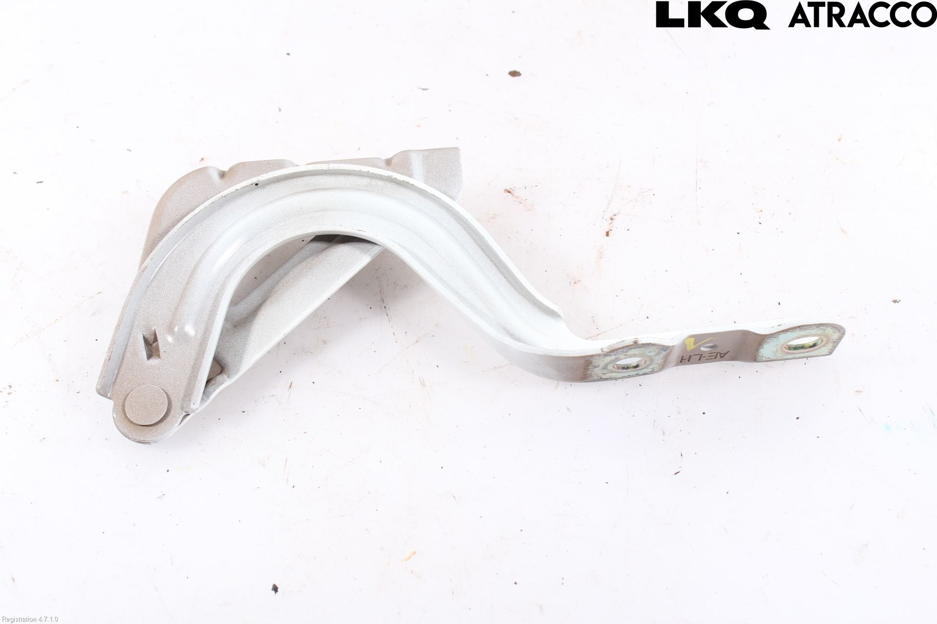Hyundai IONIQ AE 17-22 Panser Hengsel - Hengsler