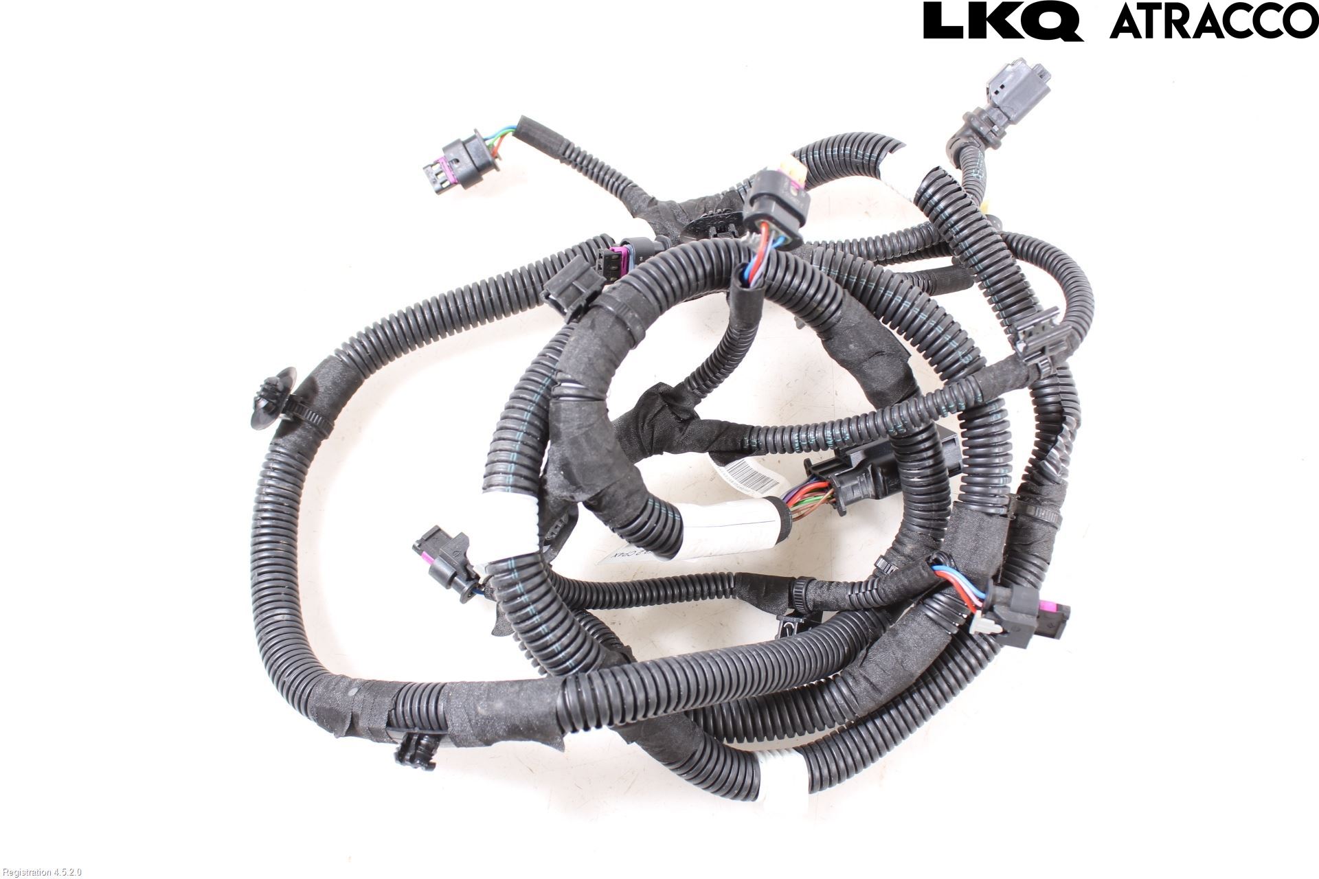 Citroen C4/E-C4 C4X/E-C4X III 21- Ledningsnett
