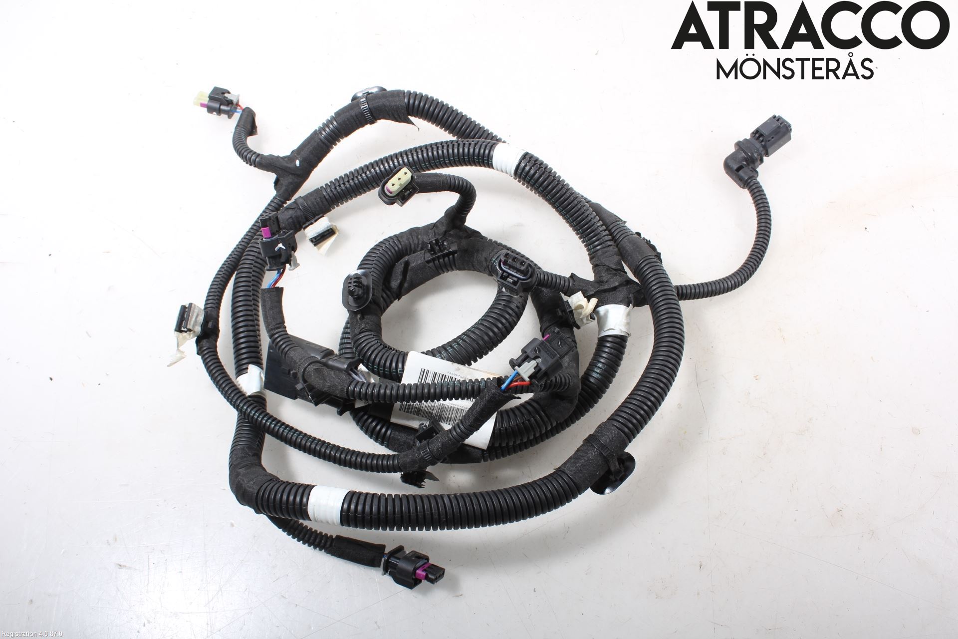 Citroen C4/E-C4 C4X/E-C4X III 21- Ledningsnett