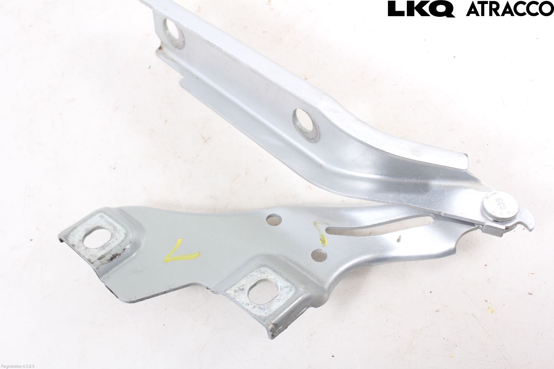 Volkswagen VW PASSAT 15-19 Panser Hengsel - Hengsler