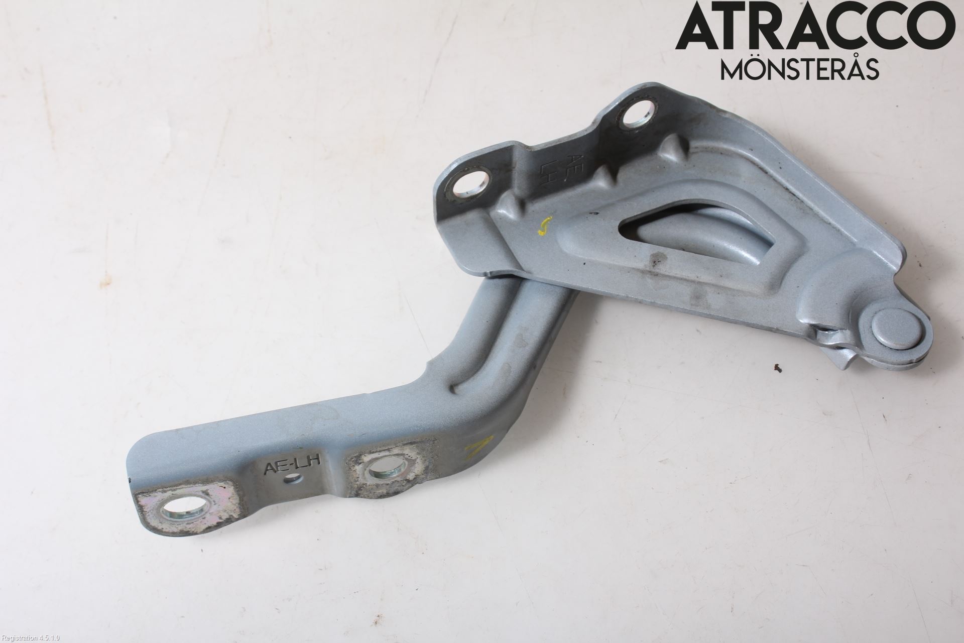 Hyundai IONIQ AE 17-22 Panser Hengsel - Hengsler