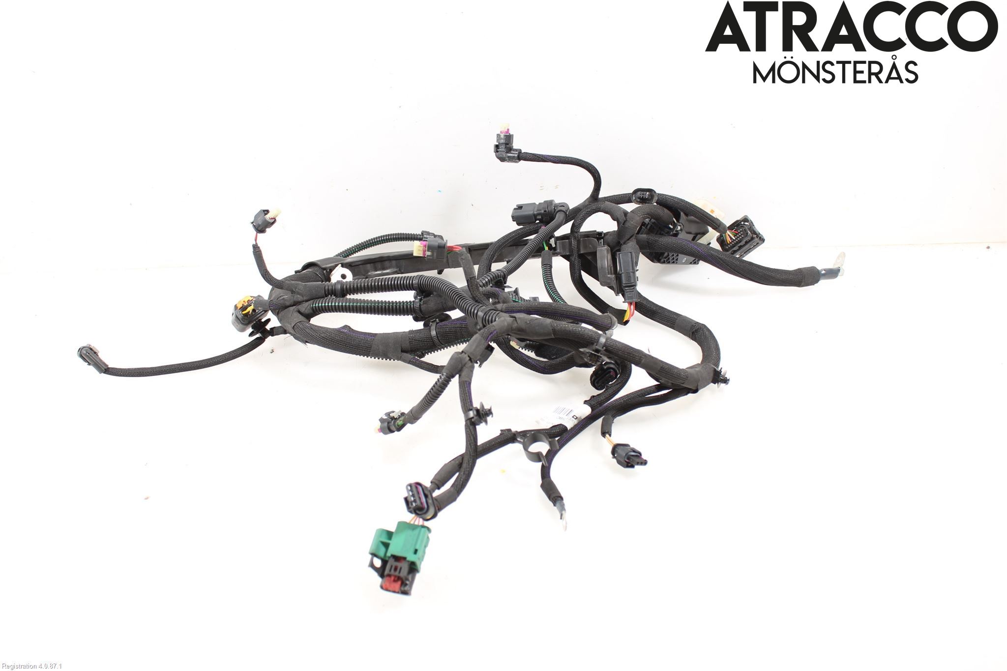 Citroen C4/E-C4 C4X/E-C4X III 21- Ledningsnett