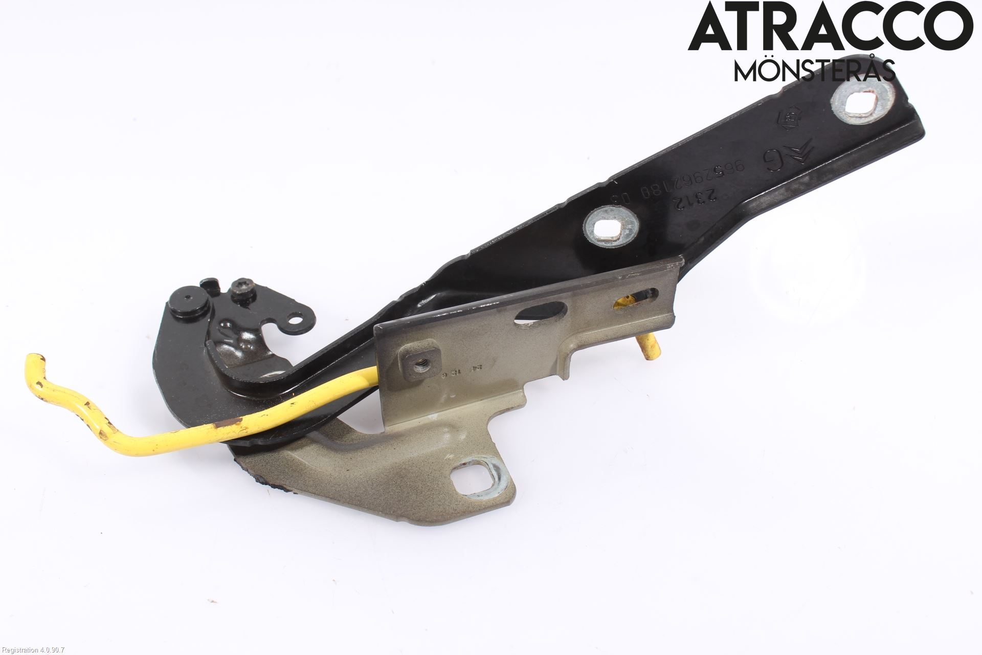 Citroen C4 GRAND PICASSO 07-13 Panser Hengsel - Hengsler
