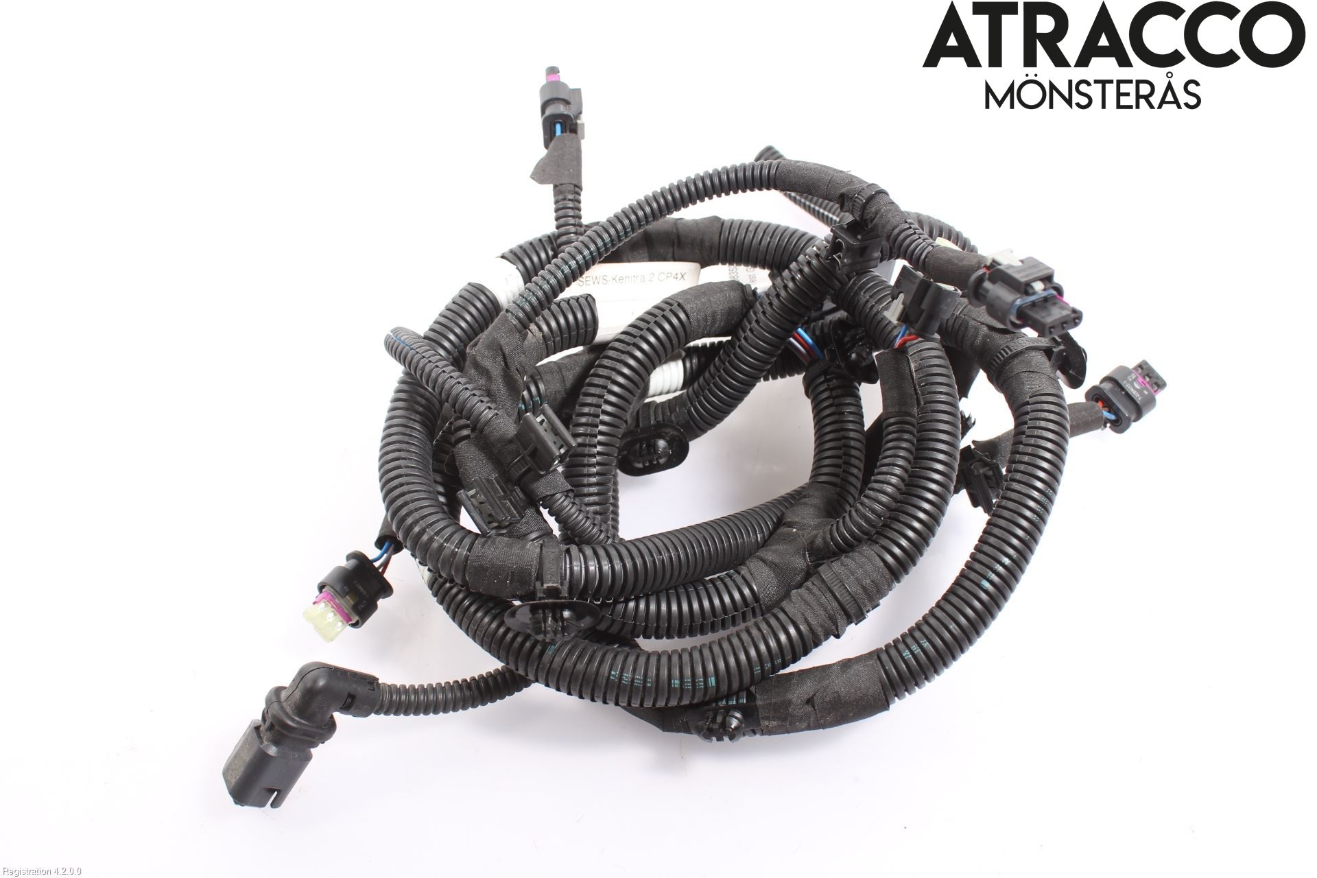 Citroen C4/E-C4 C4X/E-C4X III 21- Ledningsnett