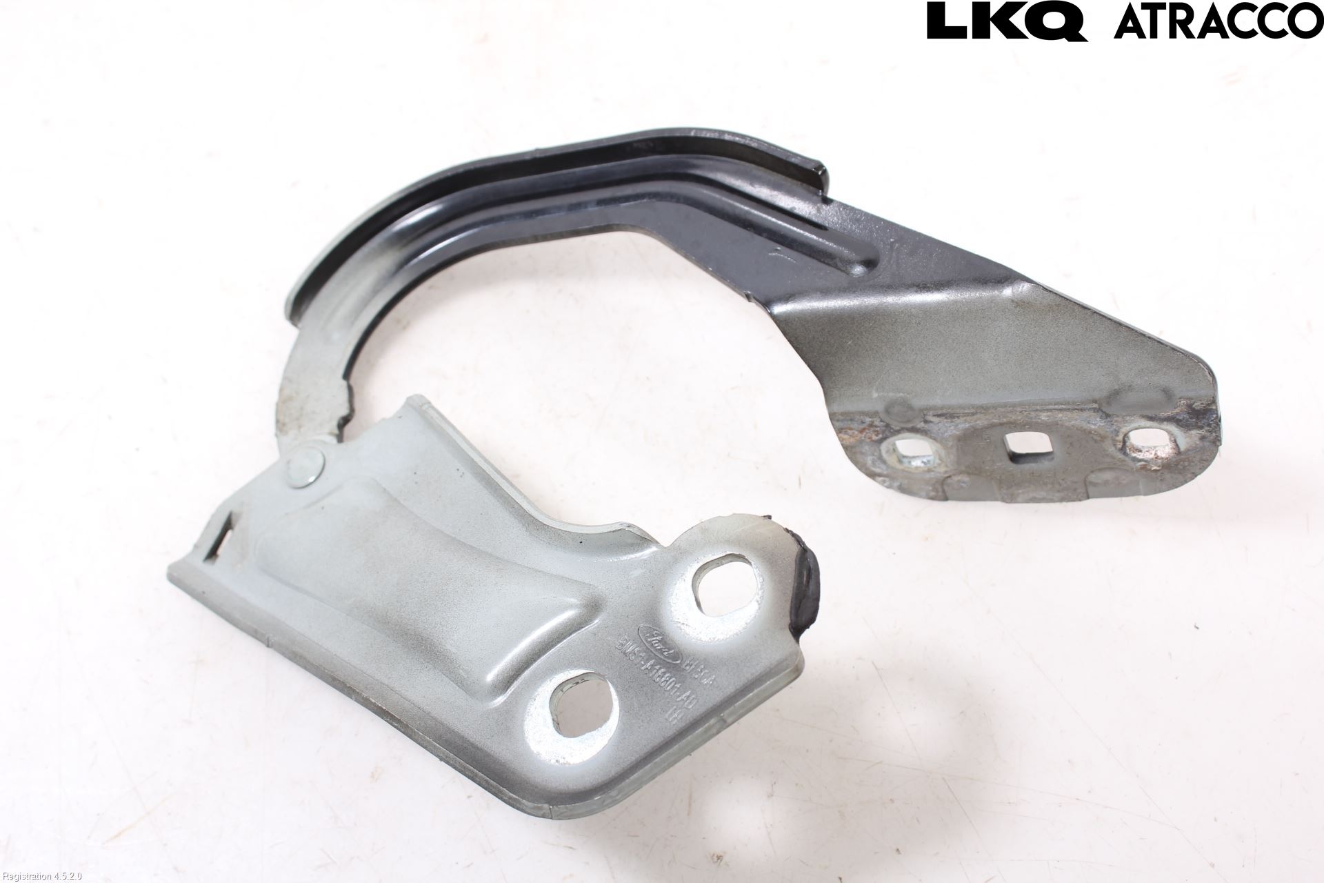 Ford FOCUS 11-14 Panser Hengsel - Hengsler