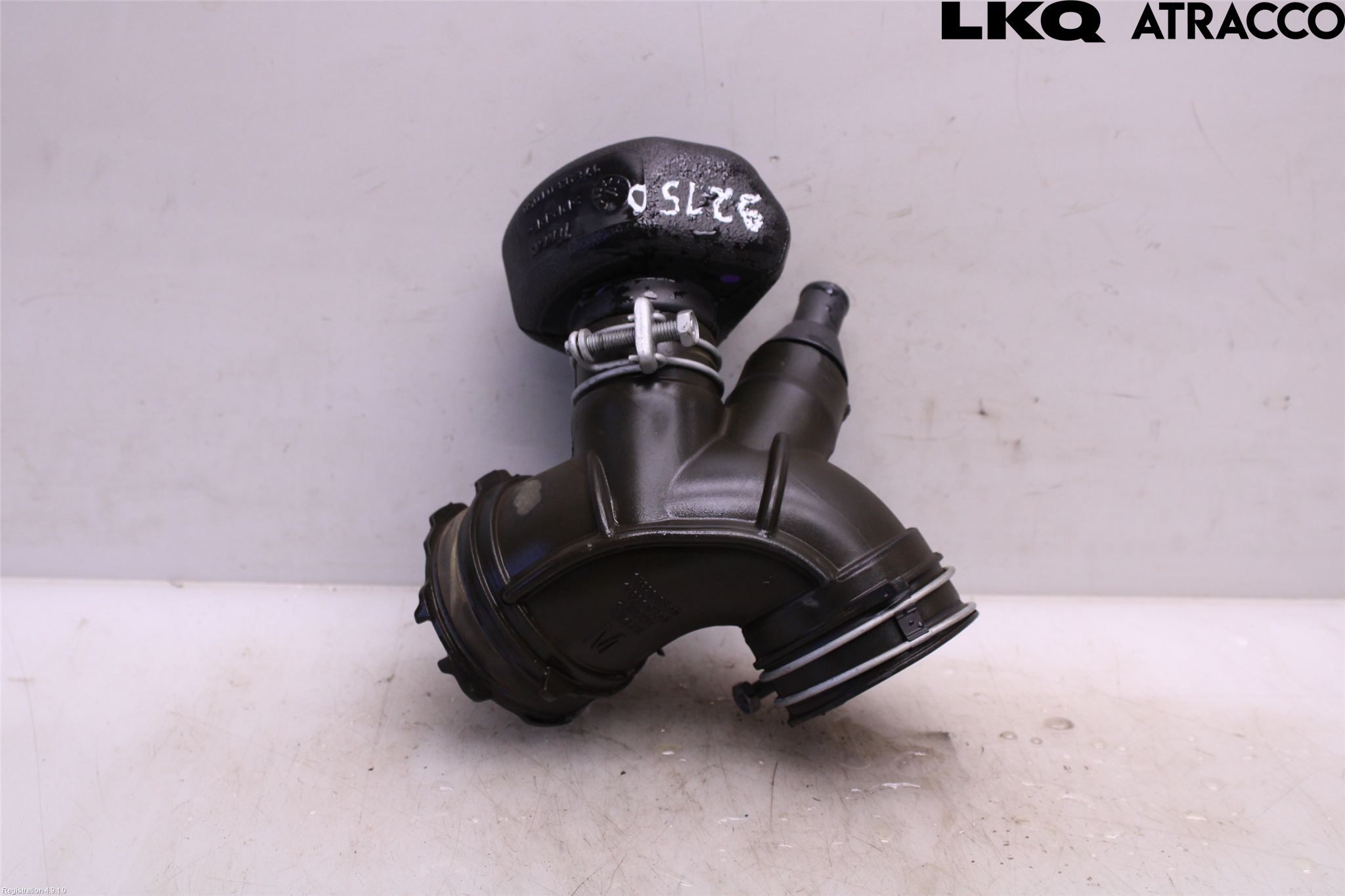 Toyota C-HR 16-23 Inns Gummibelg - Slange
