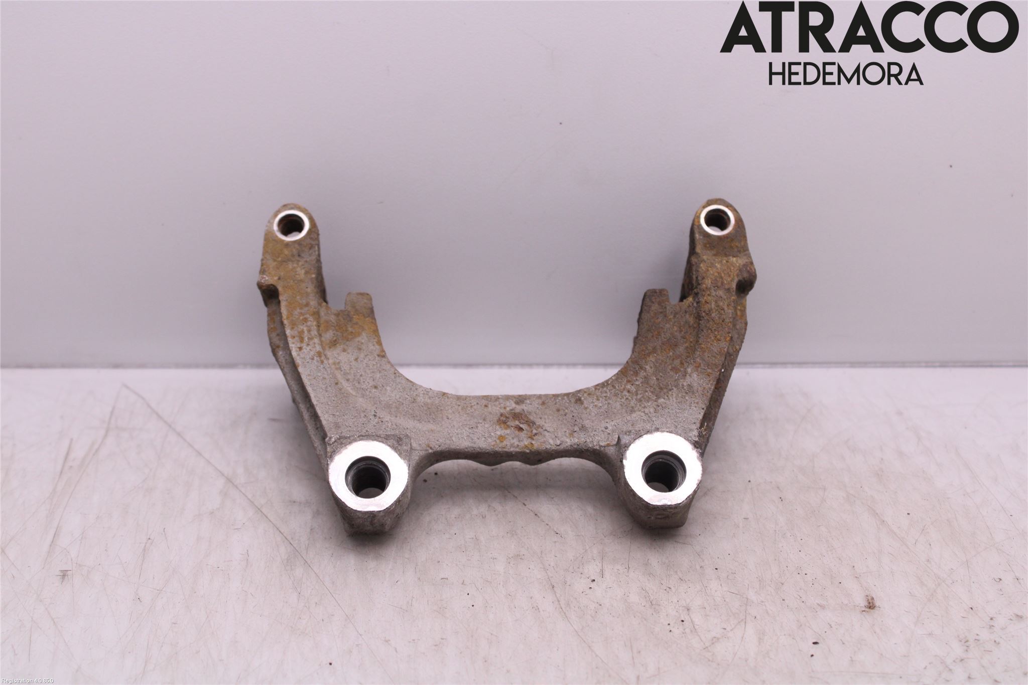Skoda KODIAQ 17-24 Bremsecaliper Feste Holder