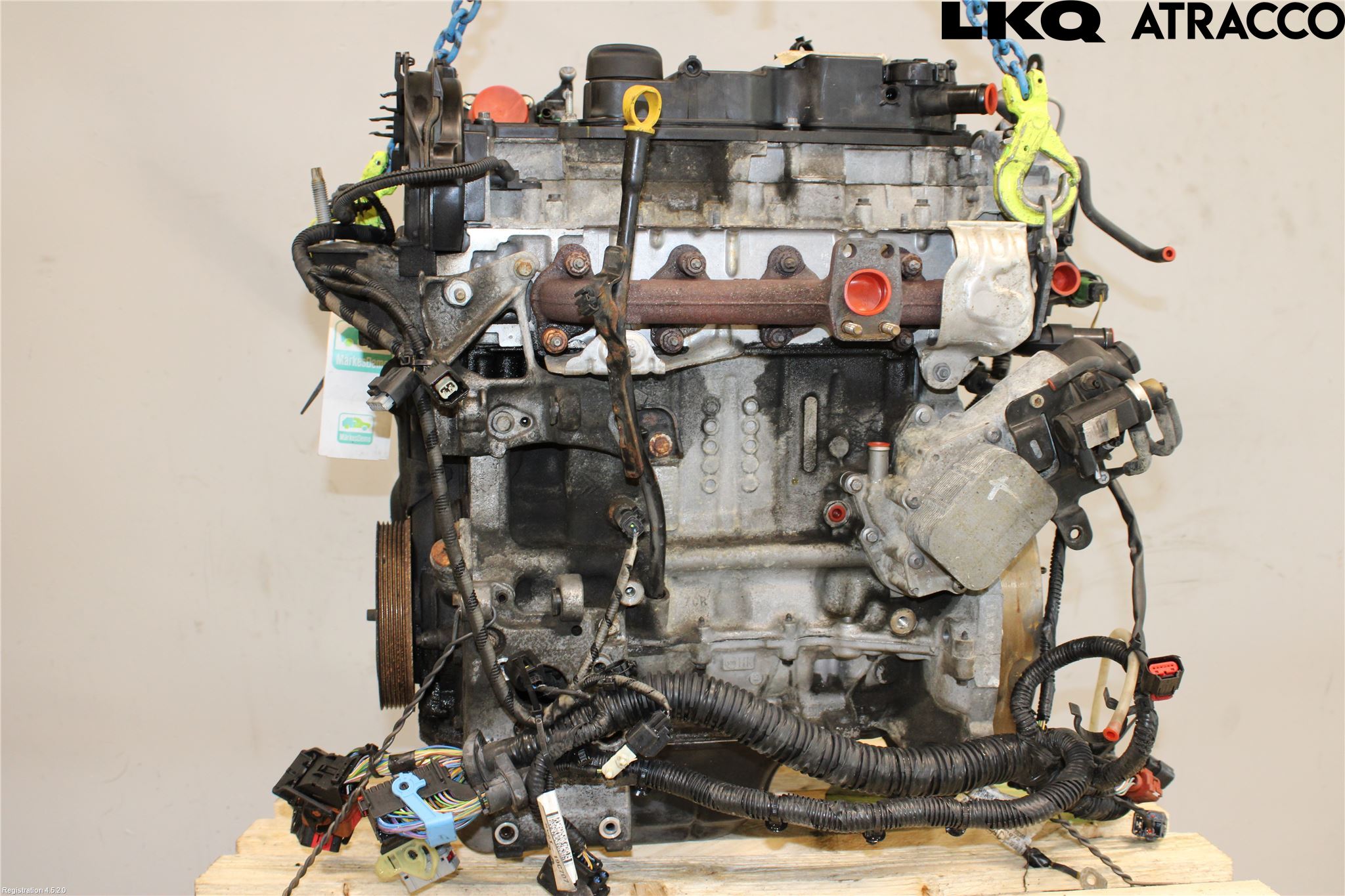 Ford FOCUS 11-14 Motor Diesel