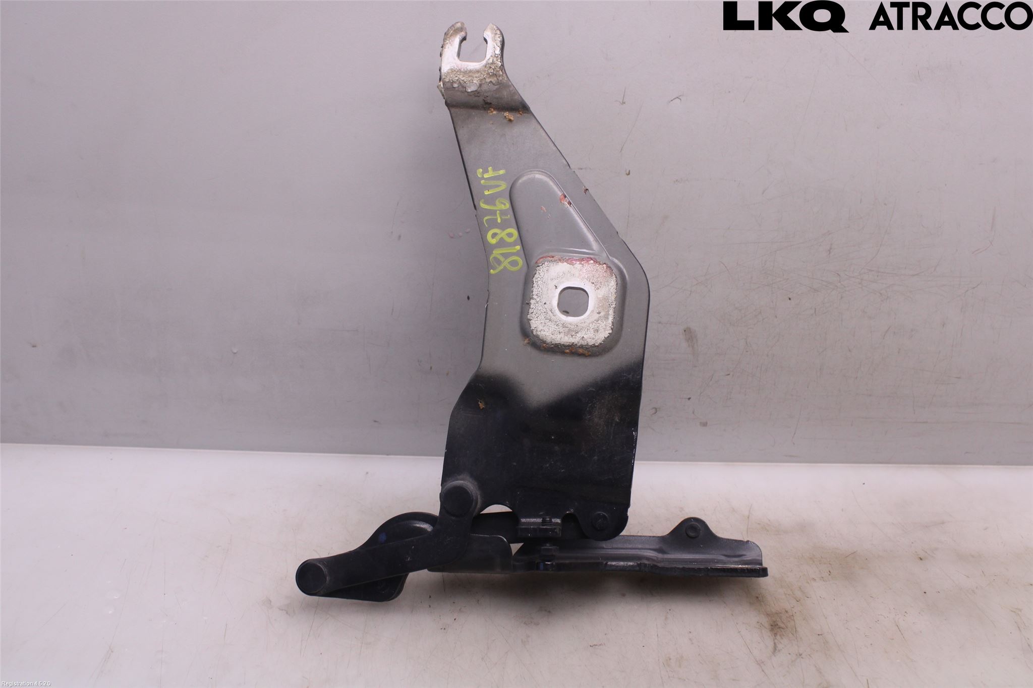 BMW X5 E70 07-13 Panser Hengsel - Hengsler