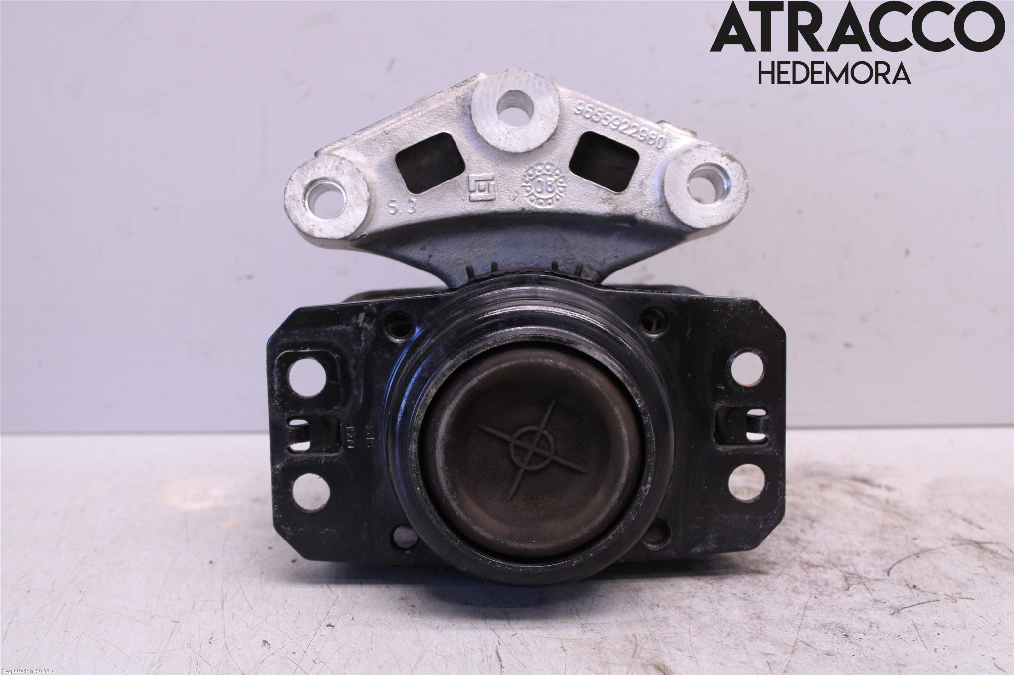 Peugeot 3008 09-16 Motor Feste Stål-Alu