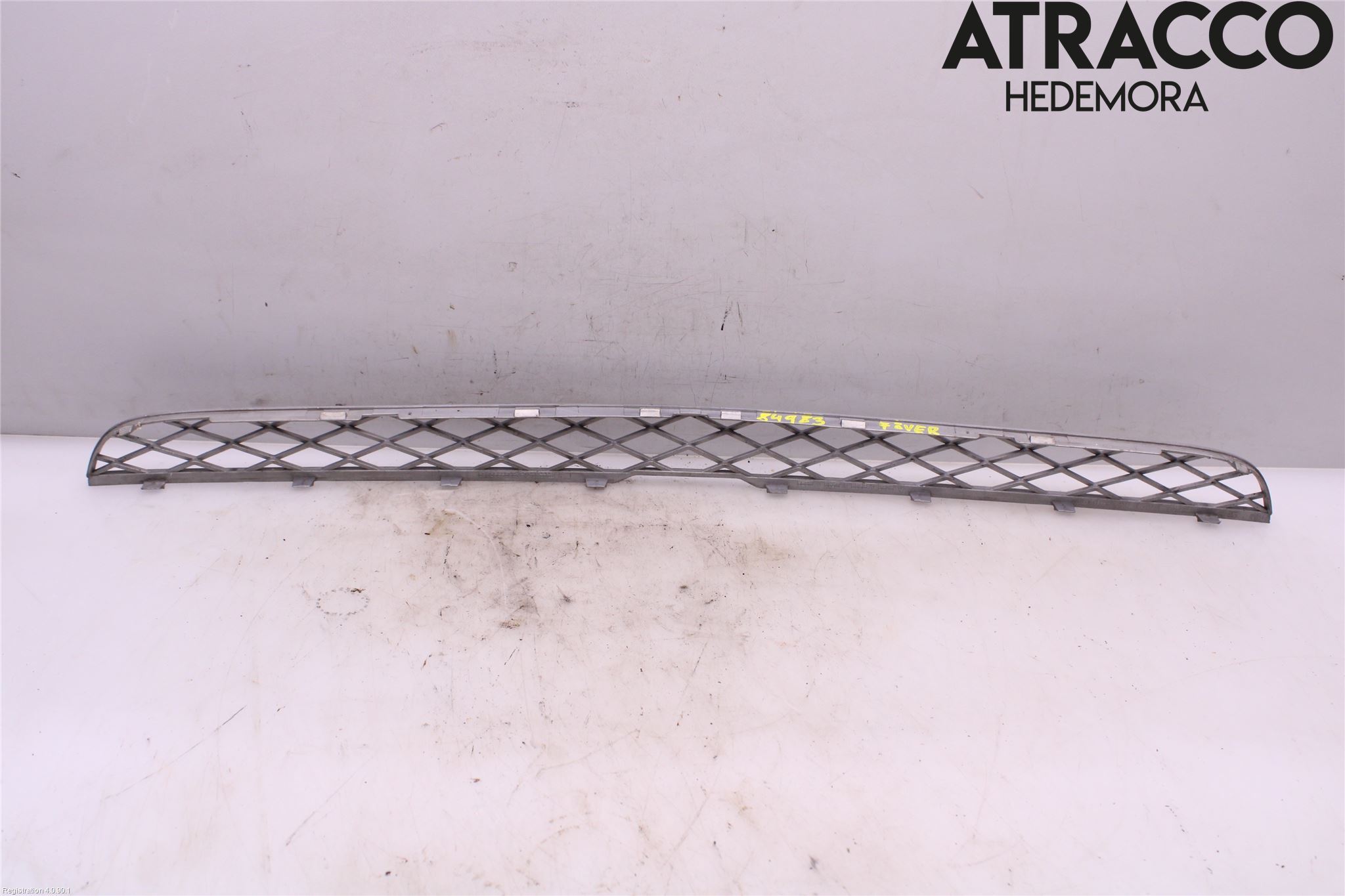 BMW X5 E70 07-13 Grill-Gitter