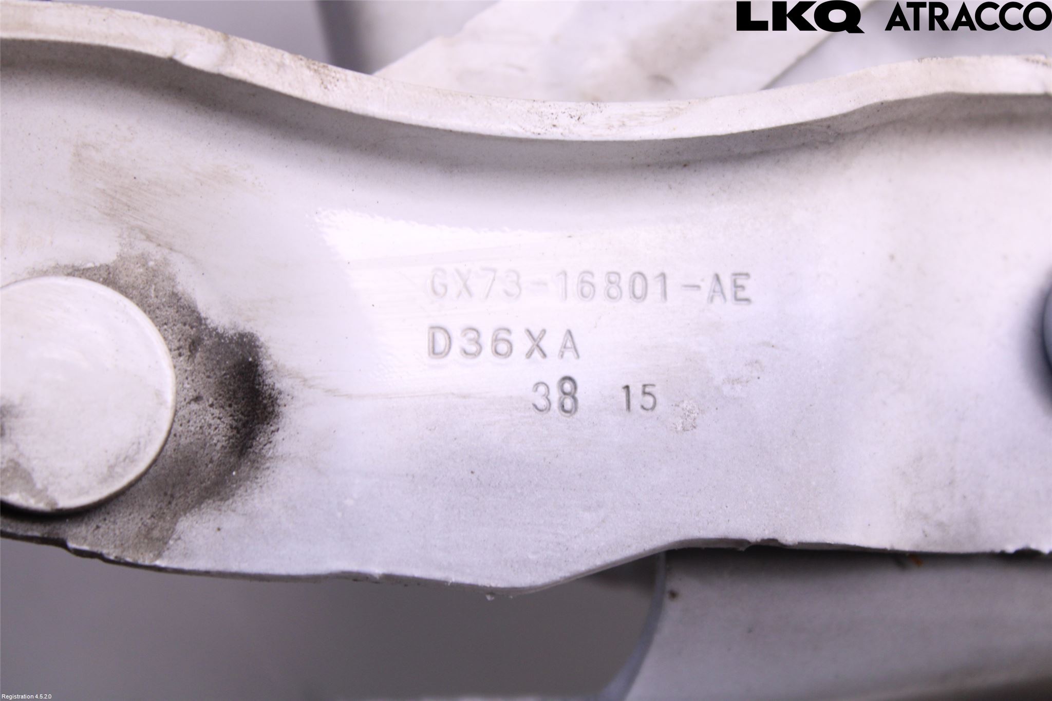 Jaguar XE (X760) 15-24 Panser Hengsel - Hengsler