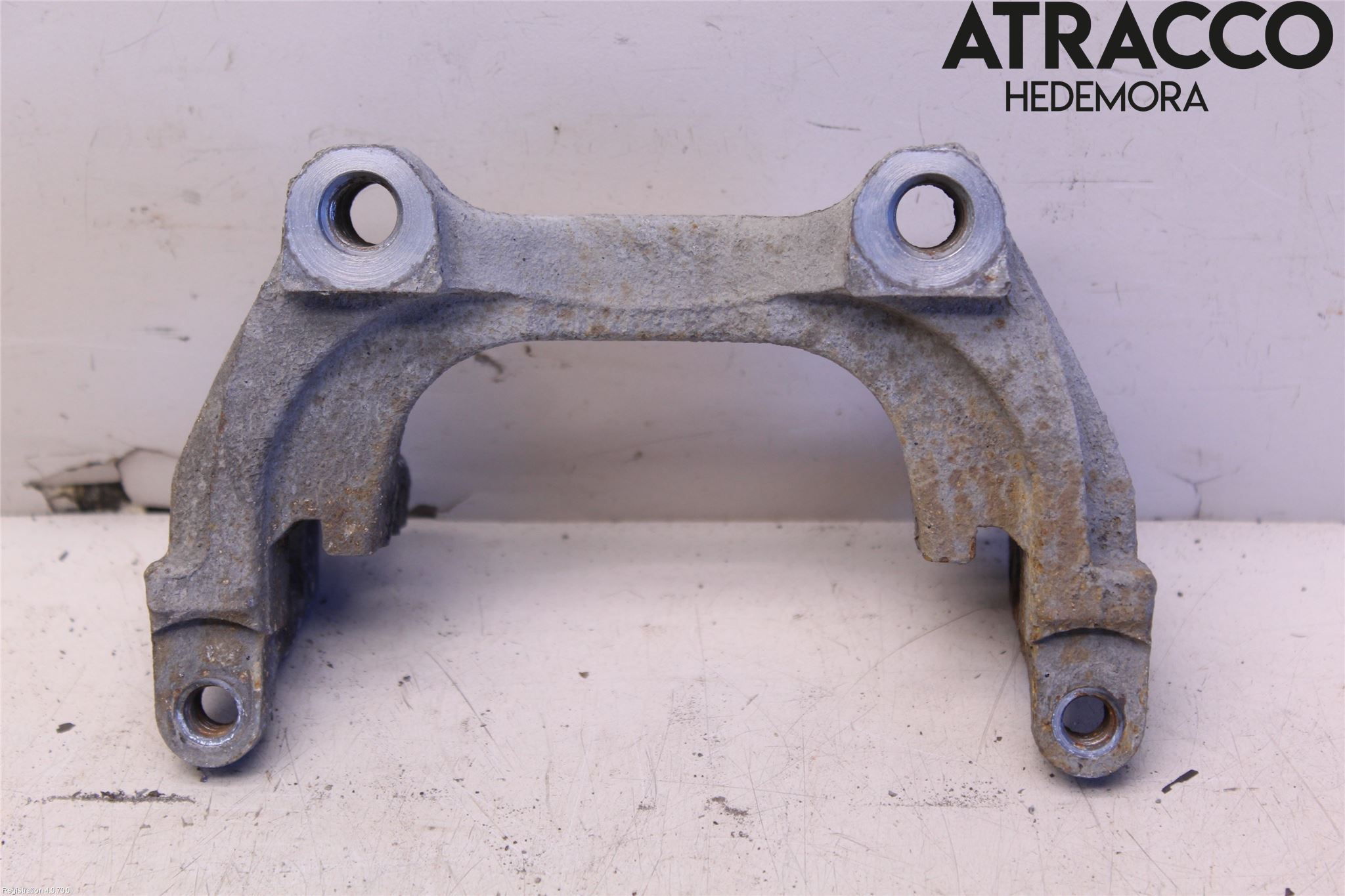 Volkswagen VW GOLF / E-GOLF VII 13-20 Bremsecaliper Feste Holder
