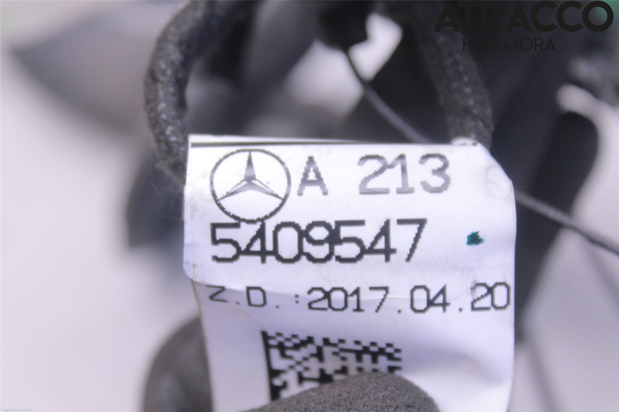 Mercedes-Benz MB E-KLASS (W213) 16-23 Ledningsnett