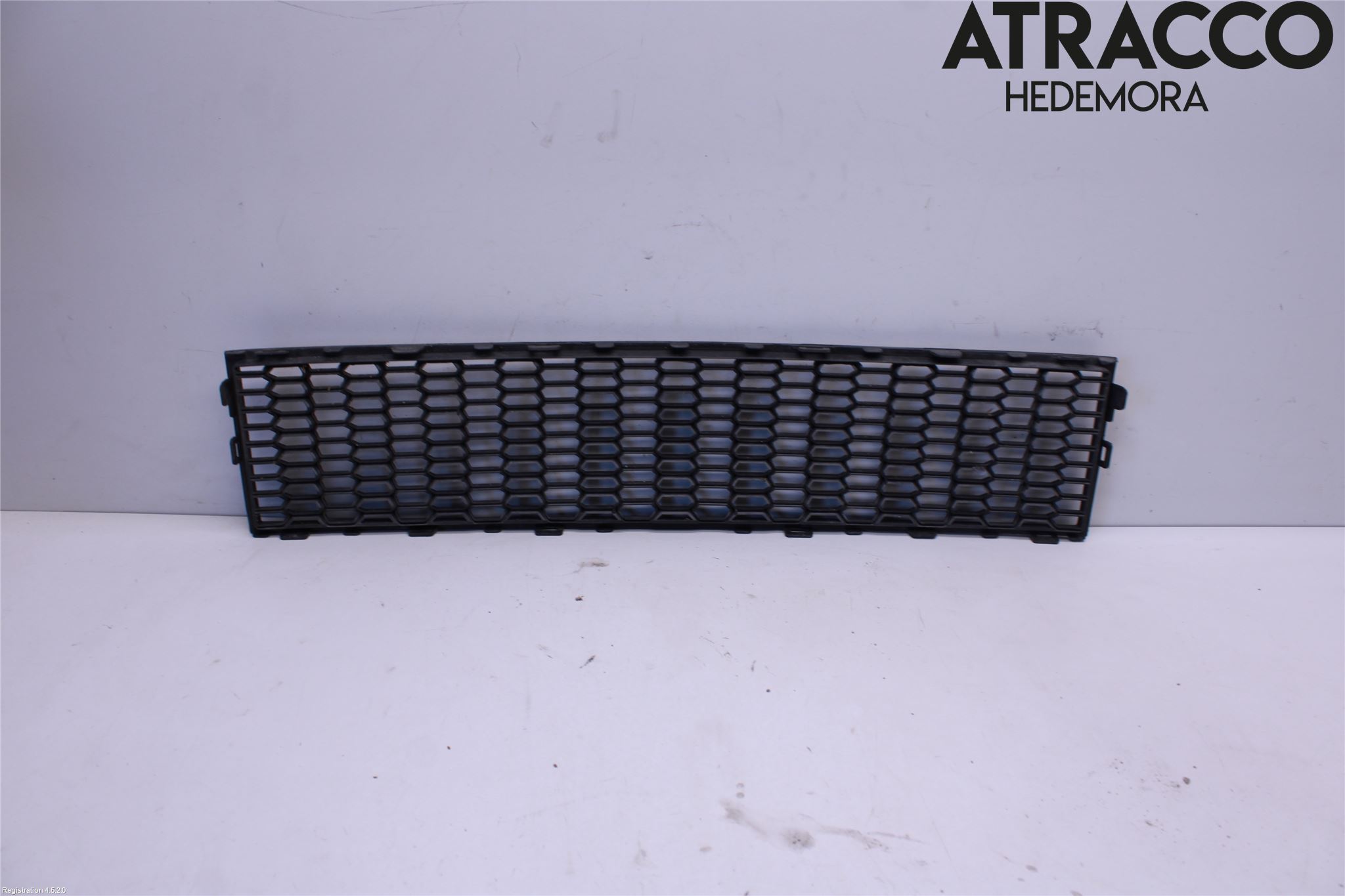 BMW 5 F10/F11/F18 09-17 Grill-Gitter