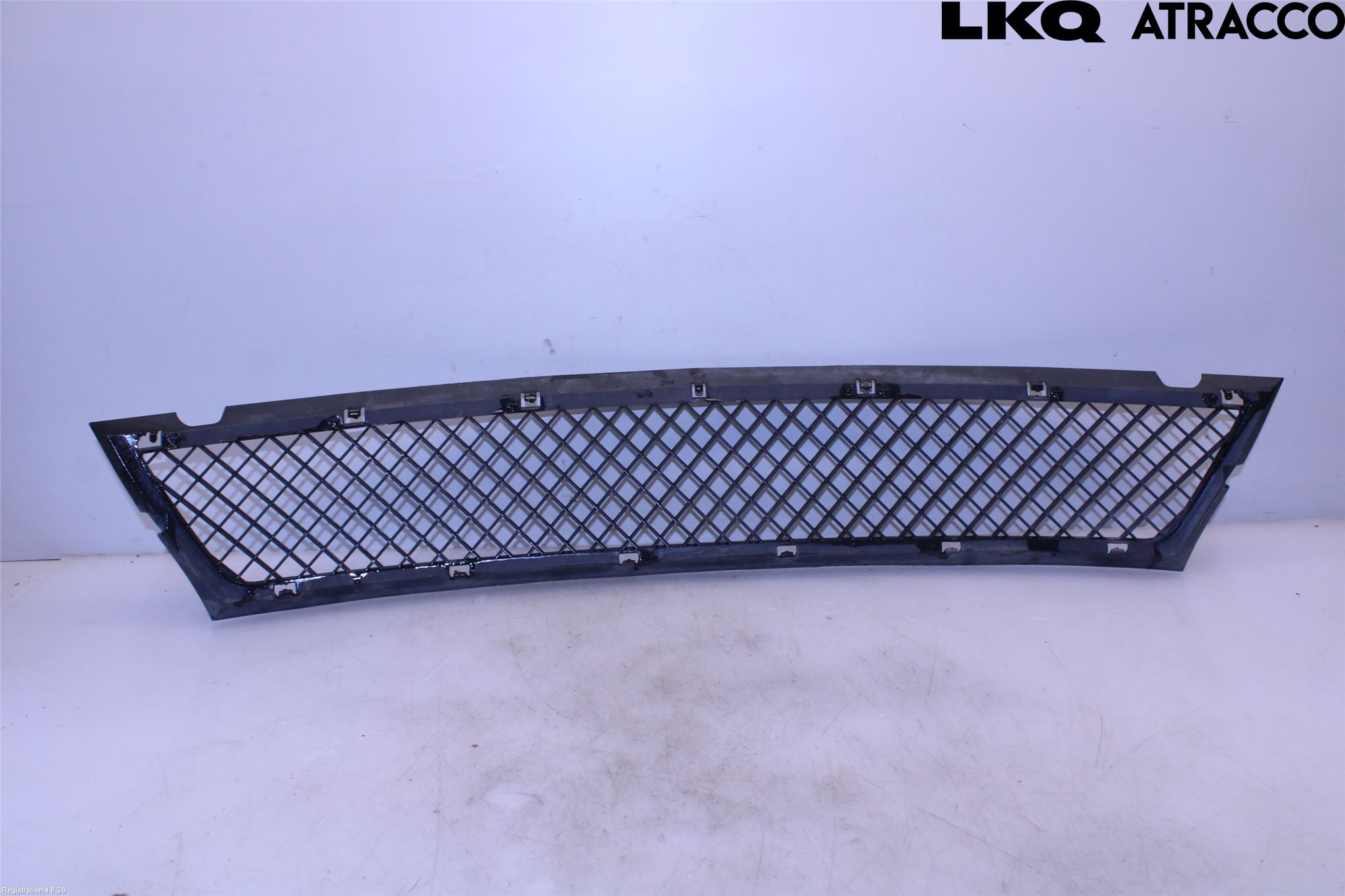 BMW 3 E46      98-05 Grill-Gitter