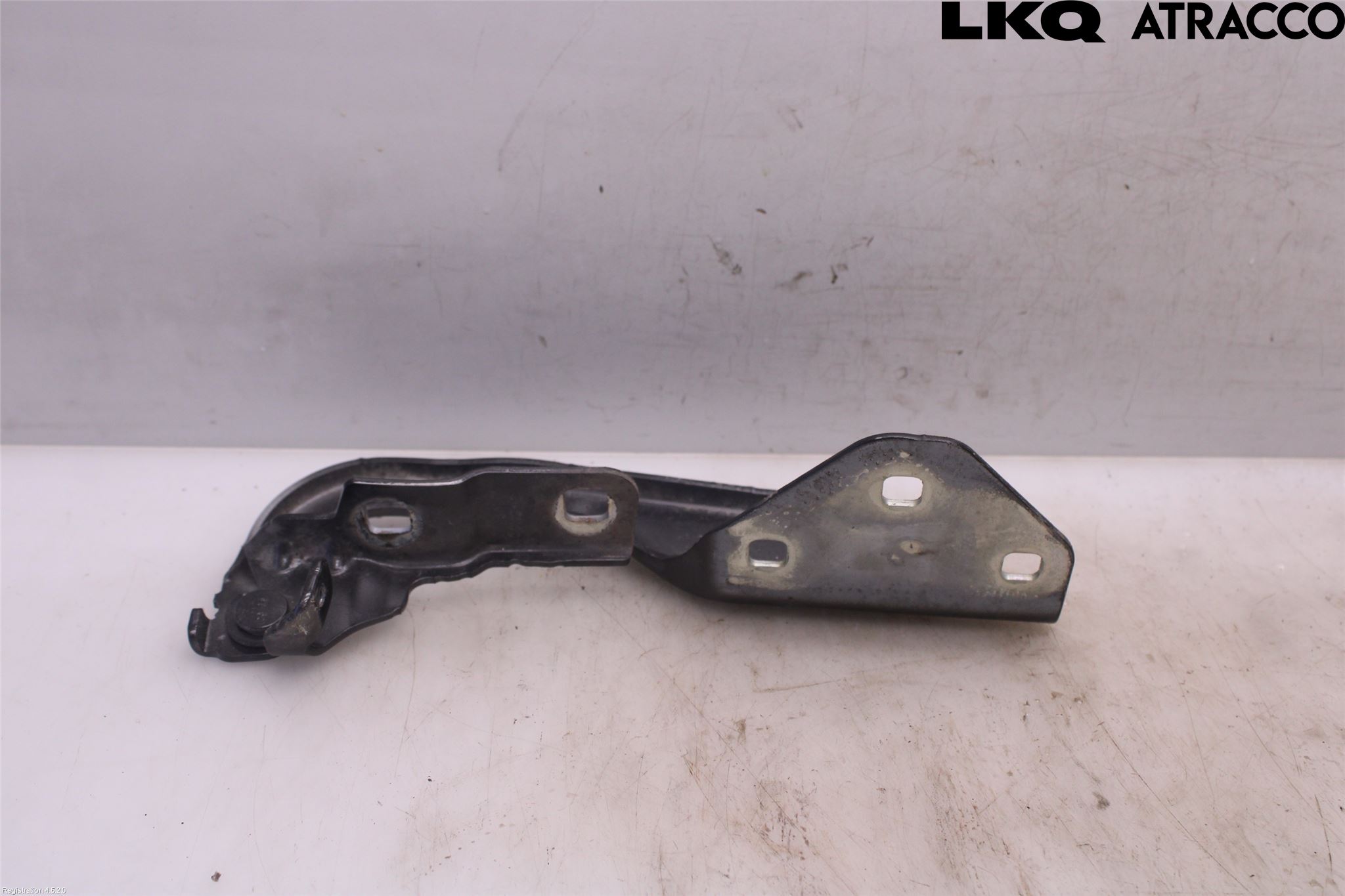 Dacia DUSTER 18-24 Panser Hengsel - Hengsler