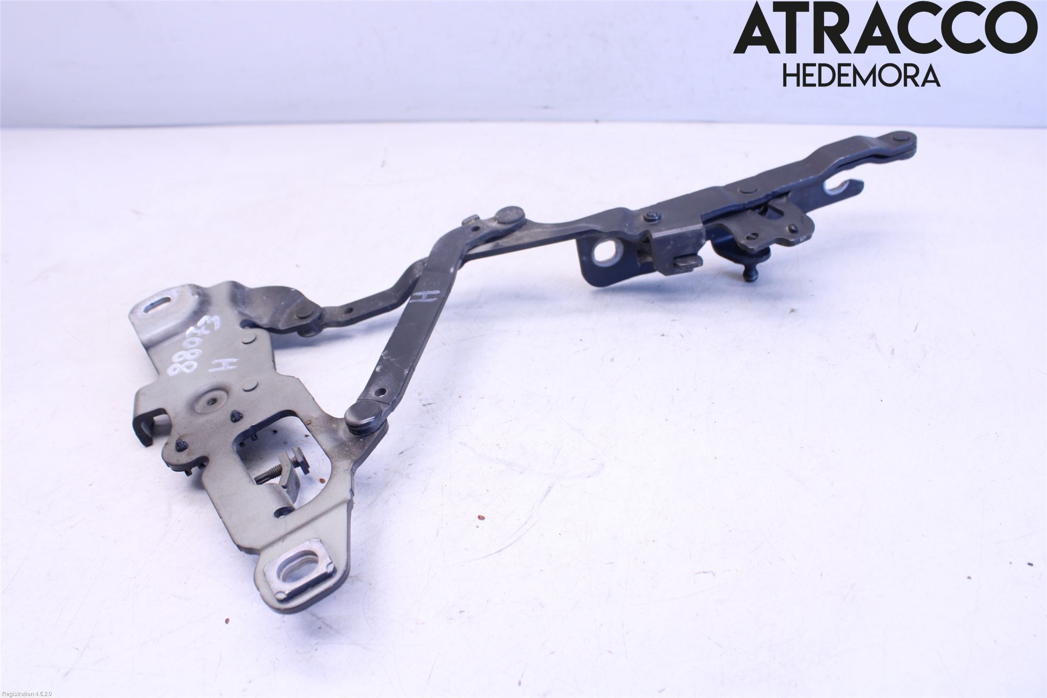 BMW 5 F10/F11/F18 09-17 Panser Hengsel - Hengsler