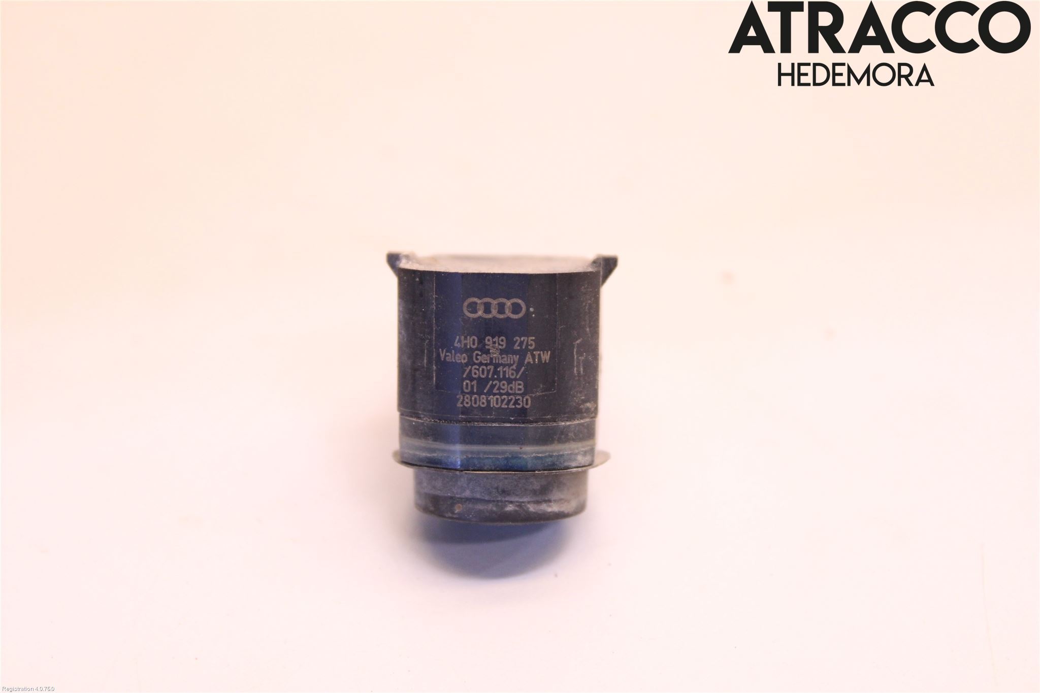 Audi Q7/SQ7 Sensor Ryggesensor