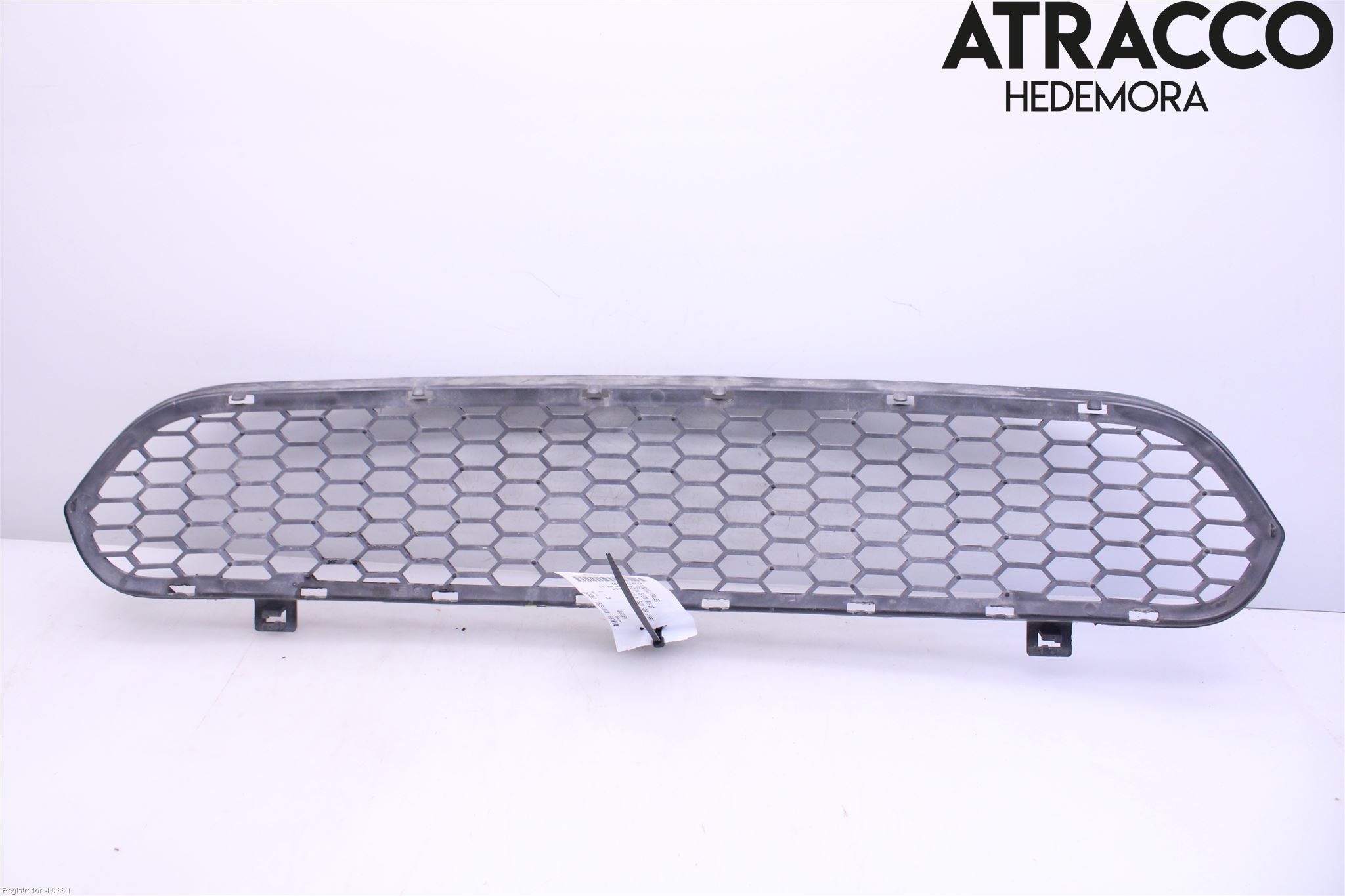 BMW X5 E70 07-13 Grill-Gitter