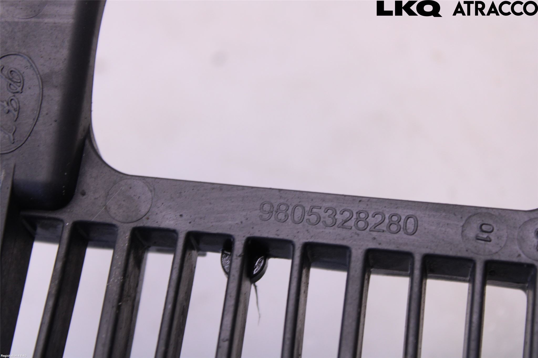 Citroen C4 PICASSO 14-18 Grill-Gitter
