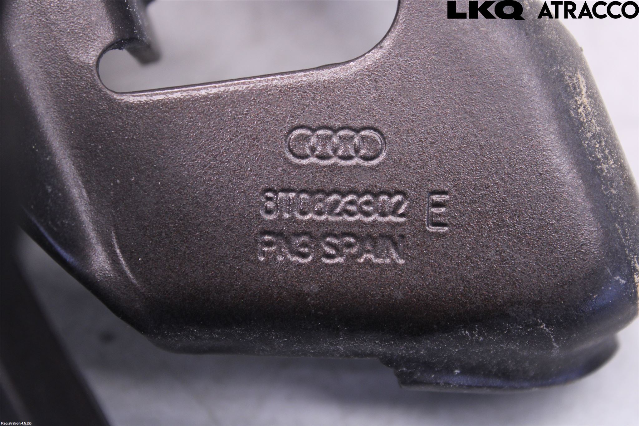 Audi A5 07-16 Panser Hengsel - Hengsler