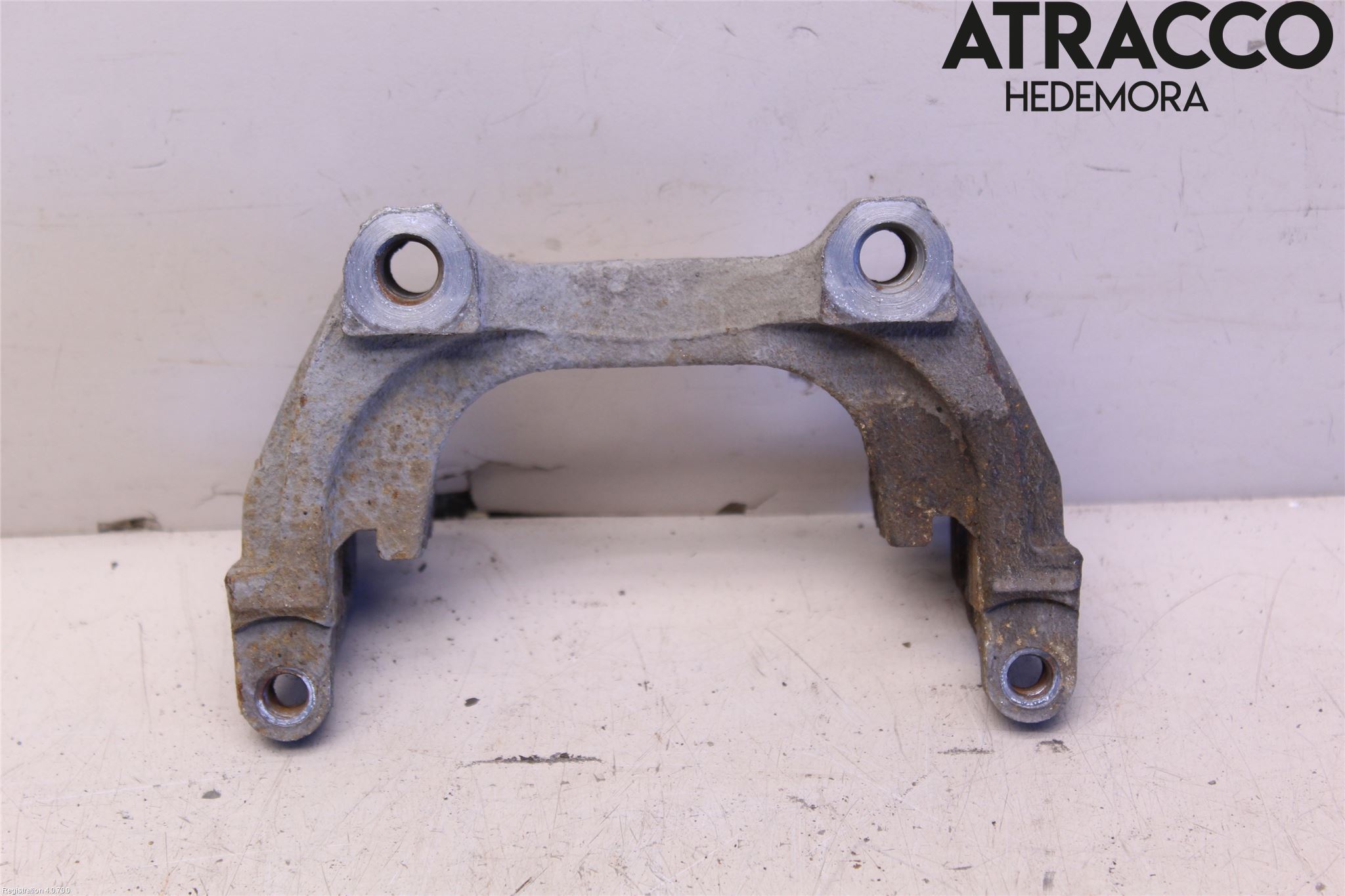 Volkswagen VW GOLF / E-GOLF VII 13-20 Bremsecaliper Feste Holder