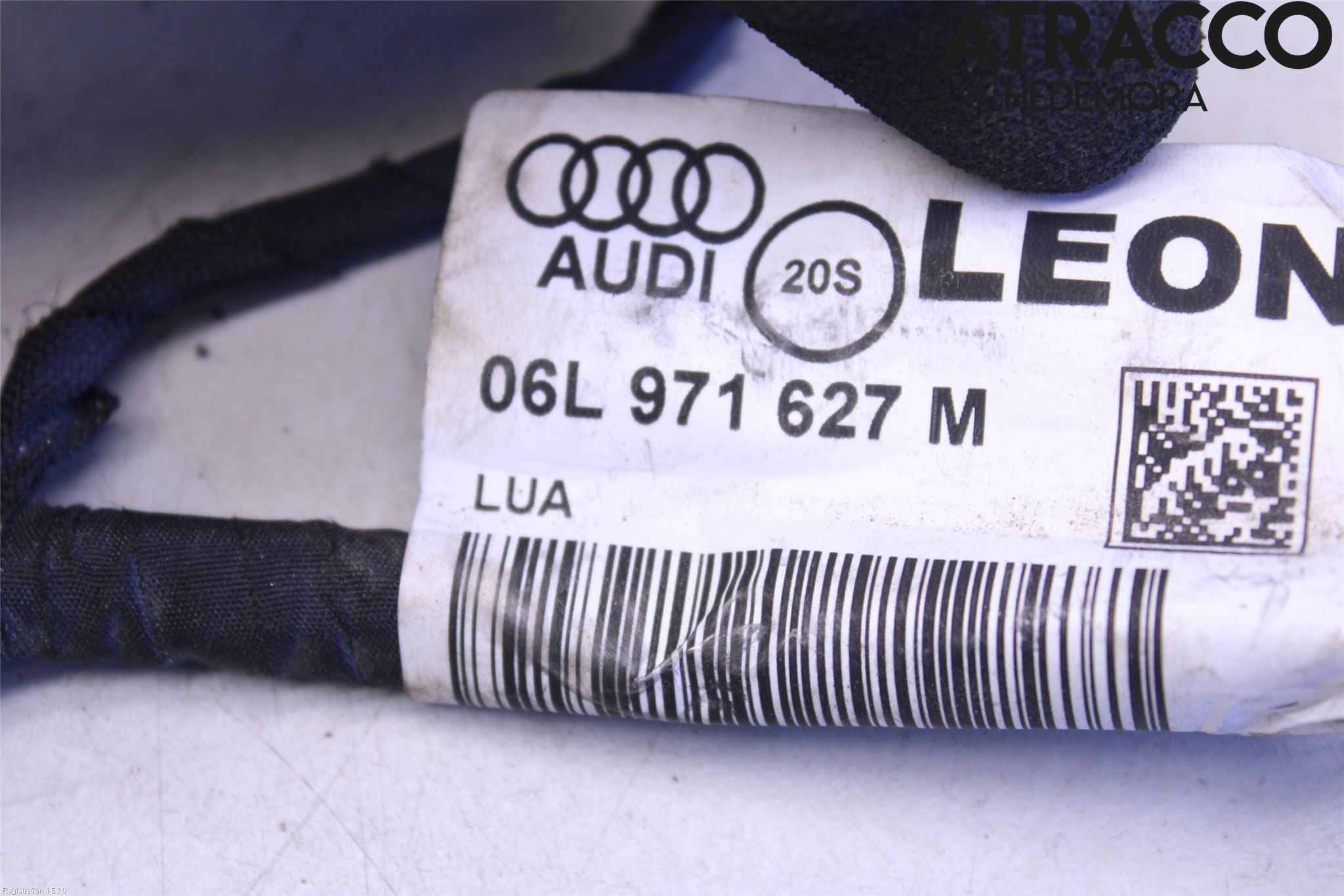 Volkswagen VW TIGUAN 16-24 Ledningsnett