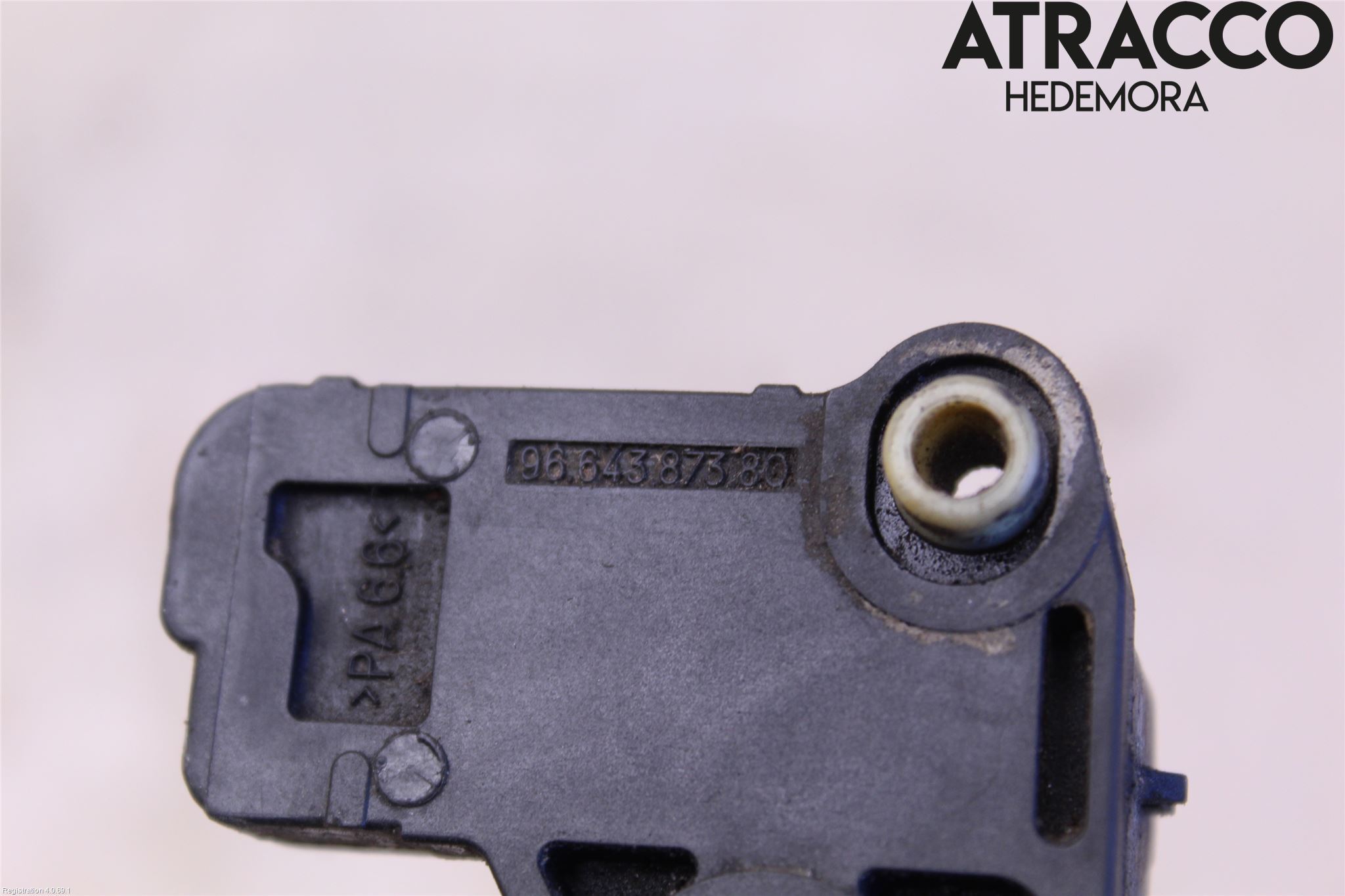 Ford FOCUS 08-11 Giver Turtall - Tenning
