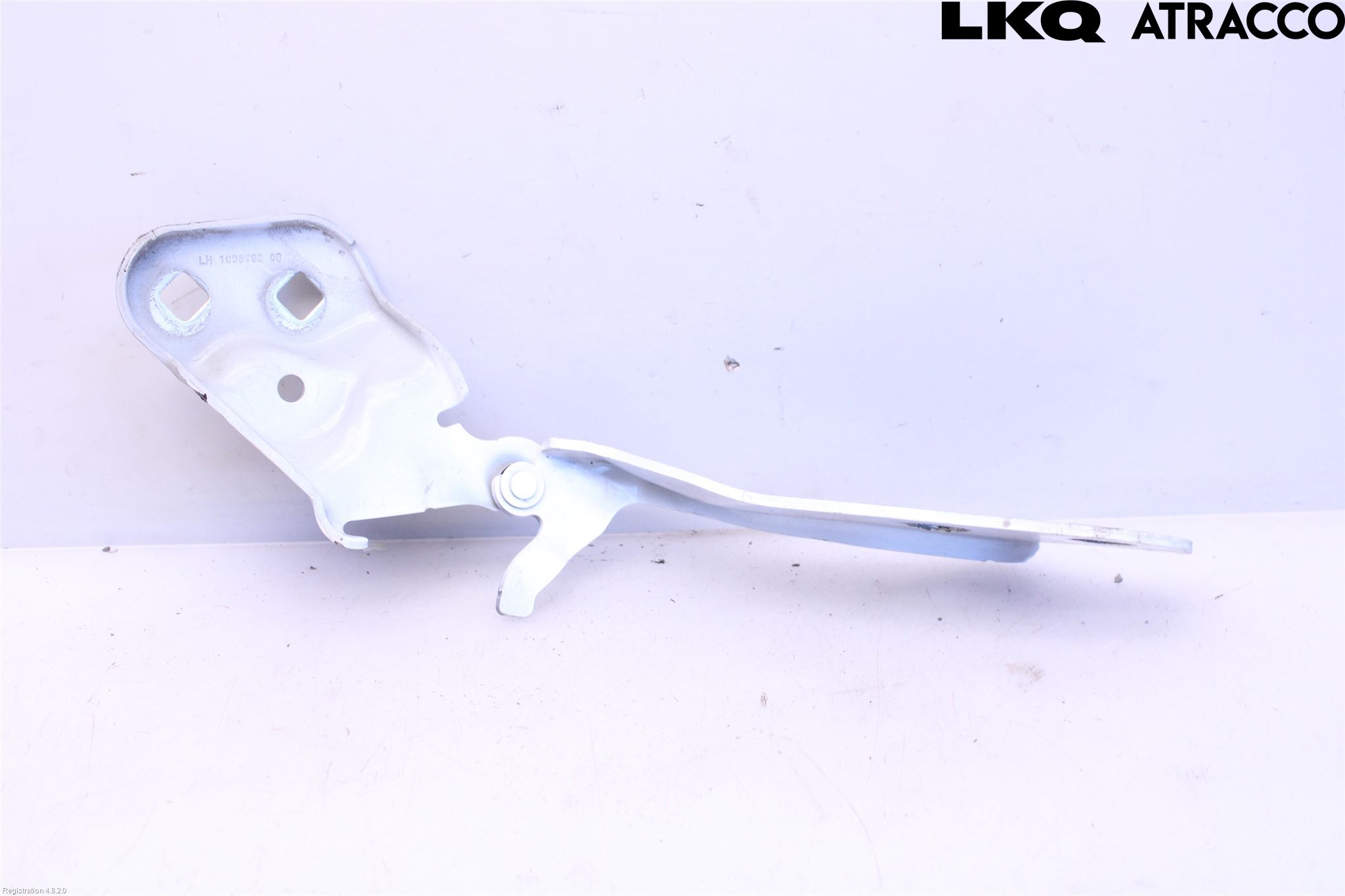 Tesla MODEL 3 17- Panser Hengsel - Hengsler