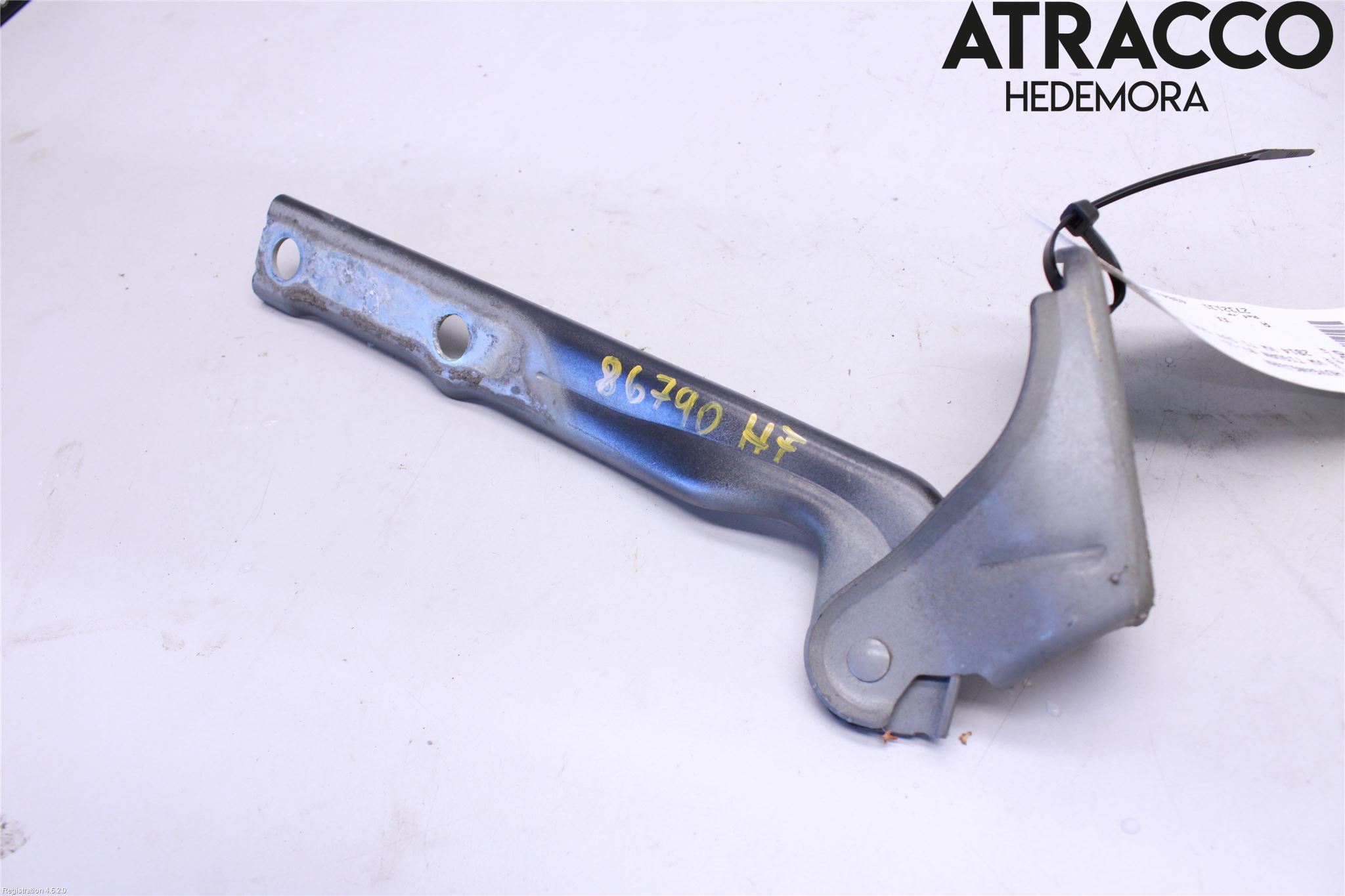 Volkswagen VW TIGUAN 07-16 Panser Hengsel - Hengsler