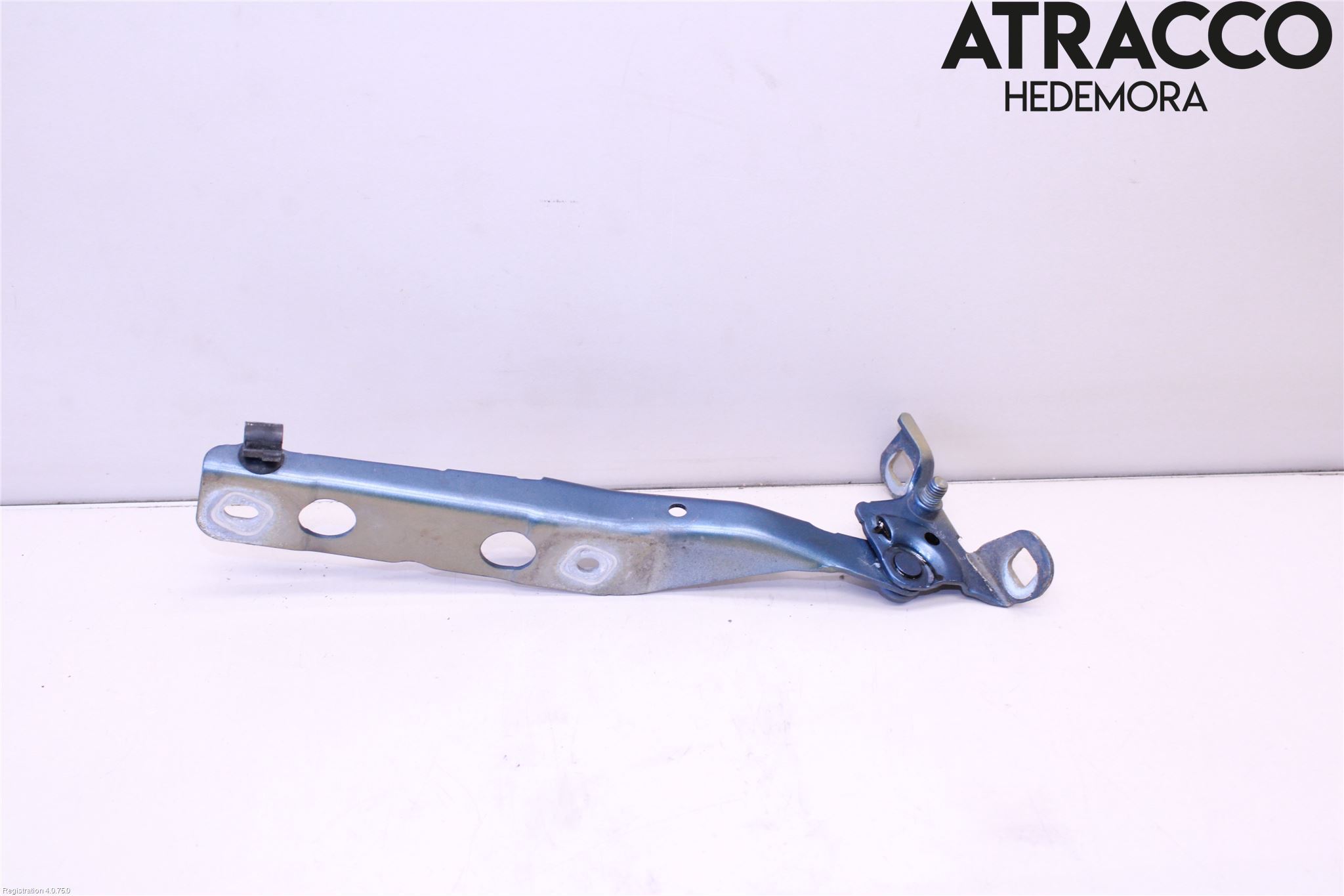 Citroen C4 GRAND PICASSO 14-18 Panser Hengsel - Hengsler