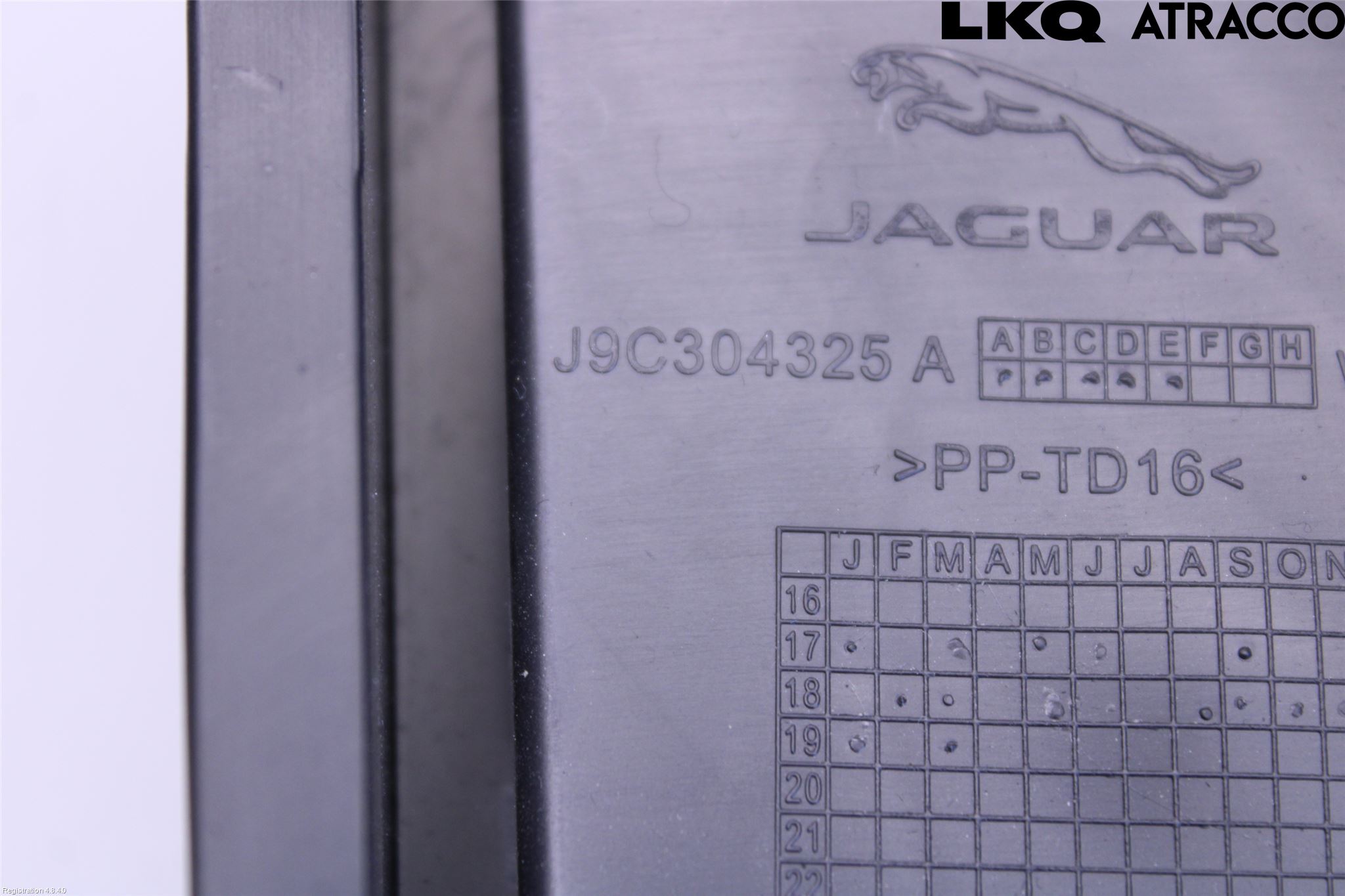 Jaguar E-PACE 17- Innr Dashbord Sparkeplate