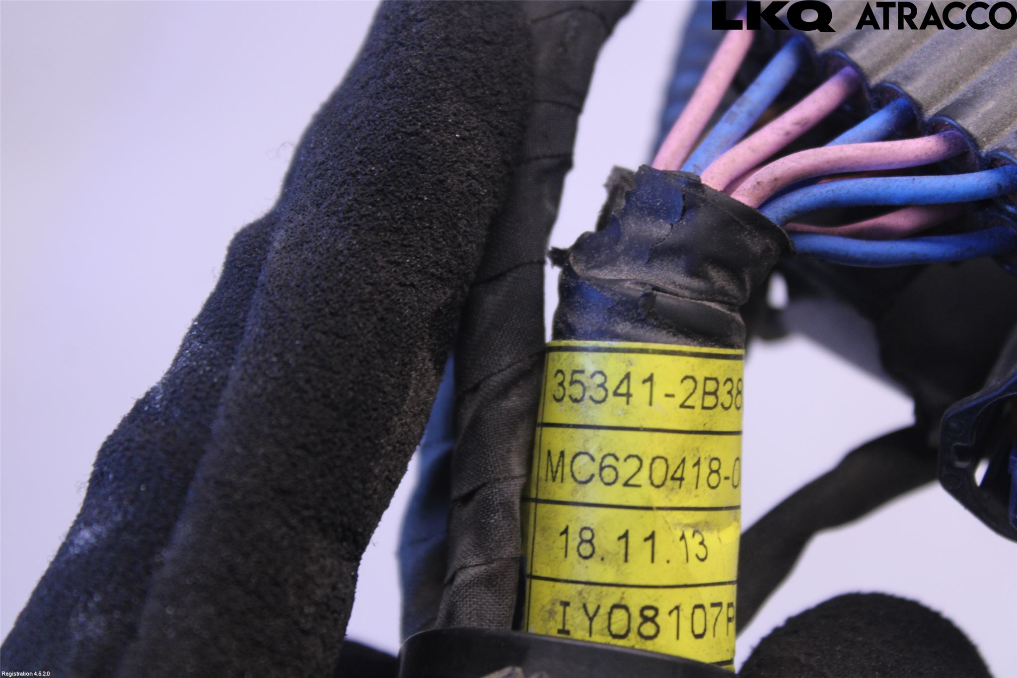 Kia PROCEED 19- Ledningsnett