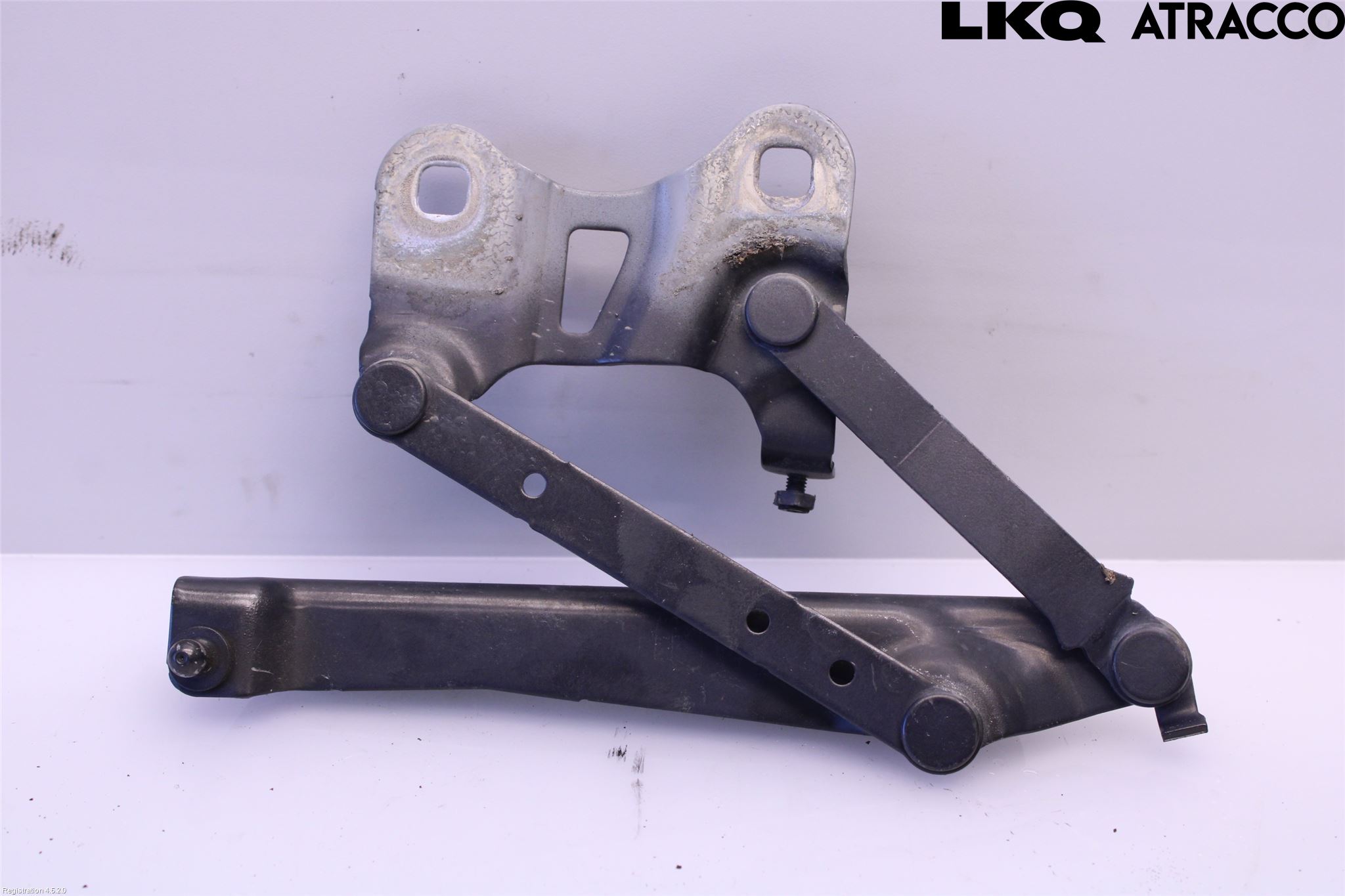 Landrover RANGE ROVER (L405) 13-21 Panser Hengsel - Hengsler