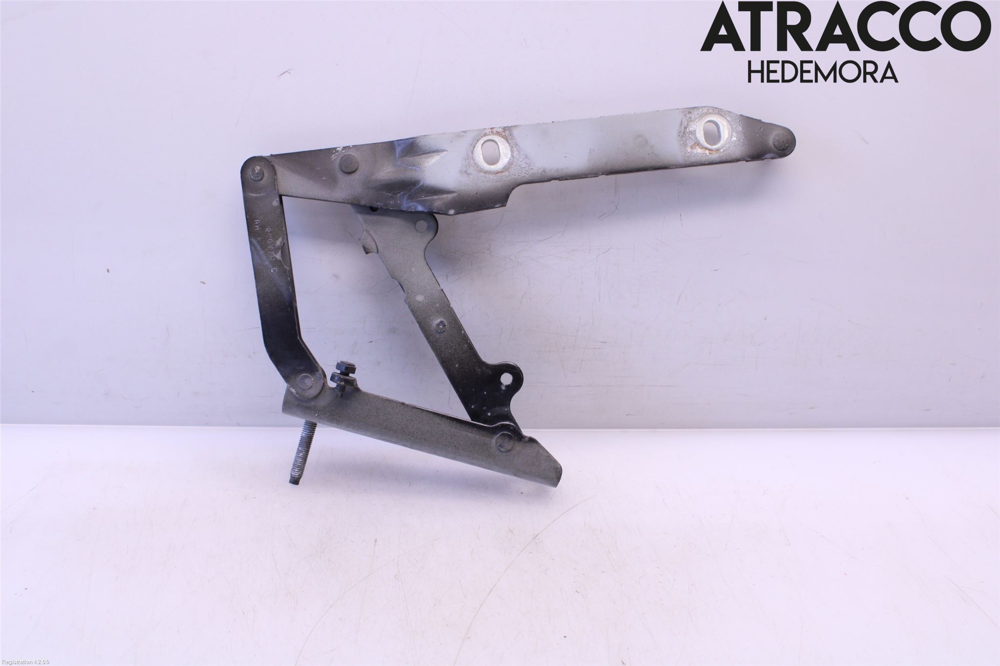 Landrover RANGE ROVER SPORT (L320) 10-13 Panser Hengsel - Hengsler