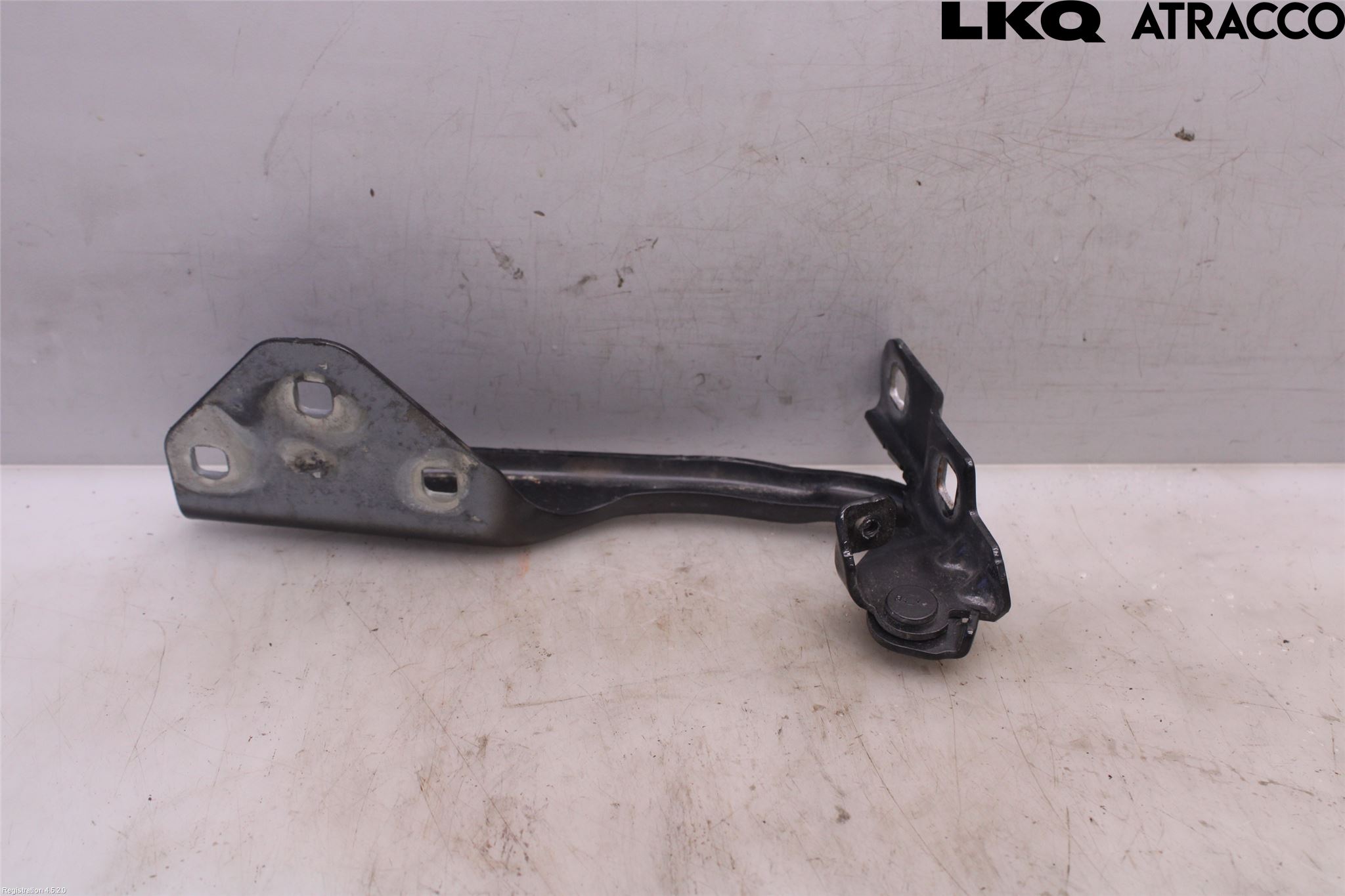 Dacia DUSTER 18-24 Panser Hengsel - Hengsler