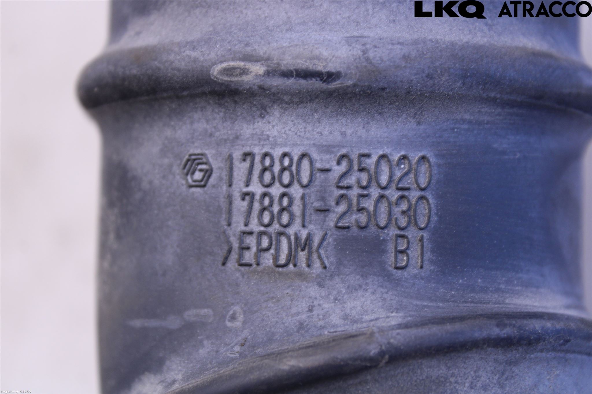 Toyota CAMRY 19-24 Inns Gummibelg - Slange